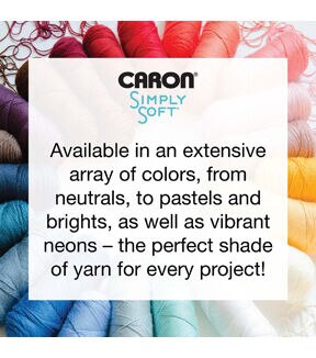 Caron Simply Soft Stripes 235yds Worsted Acrylic Yarn