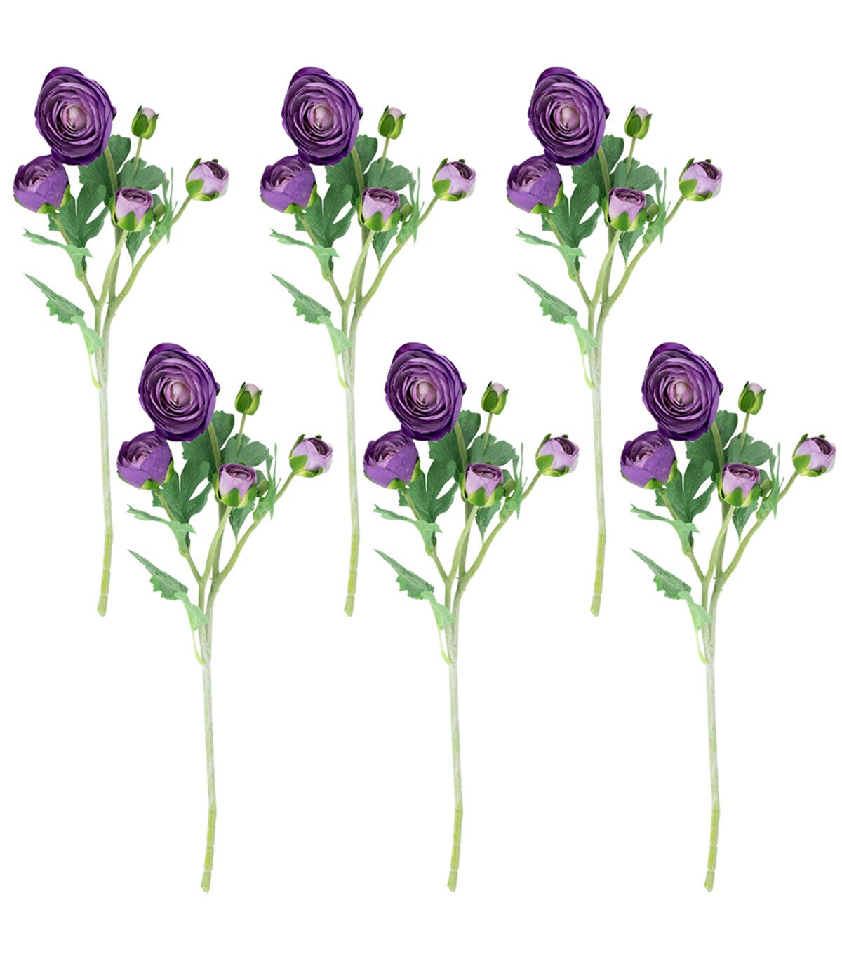 Northlight 21 Purple Ranunculus Stems 6ct