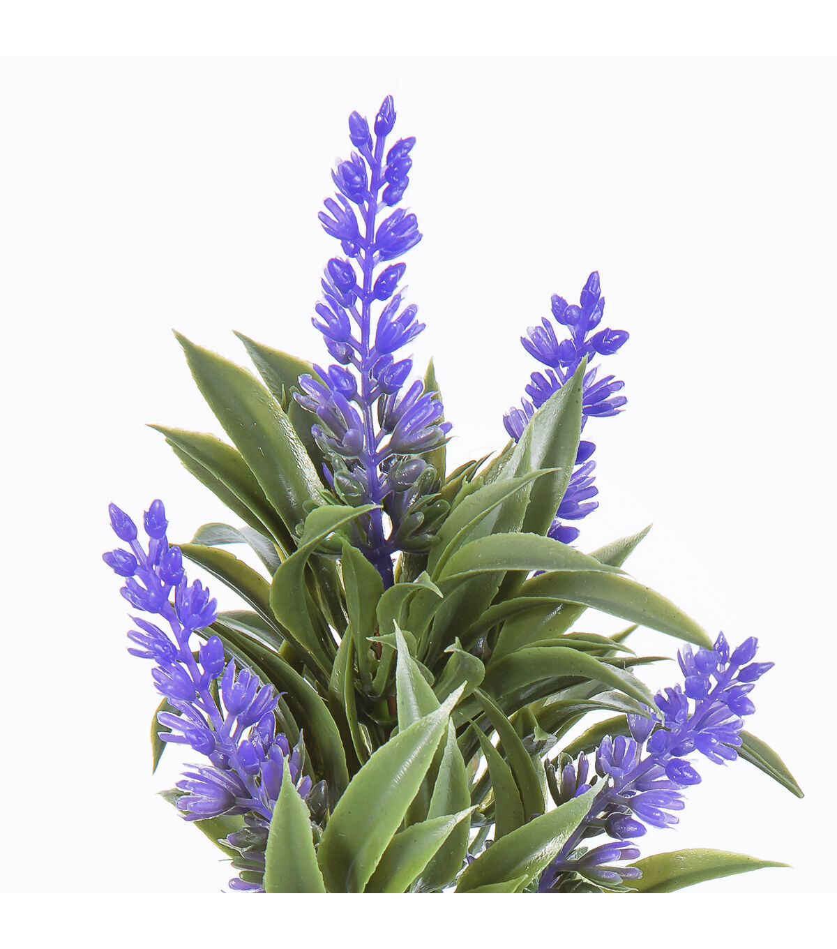 9 Lavender Pick by Bloom Room