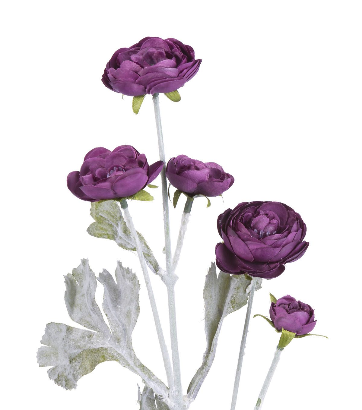 27 Purple Ranunculus Stem by Bloom Room