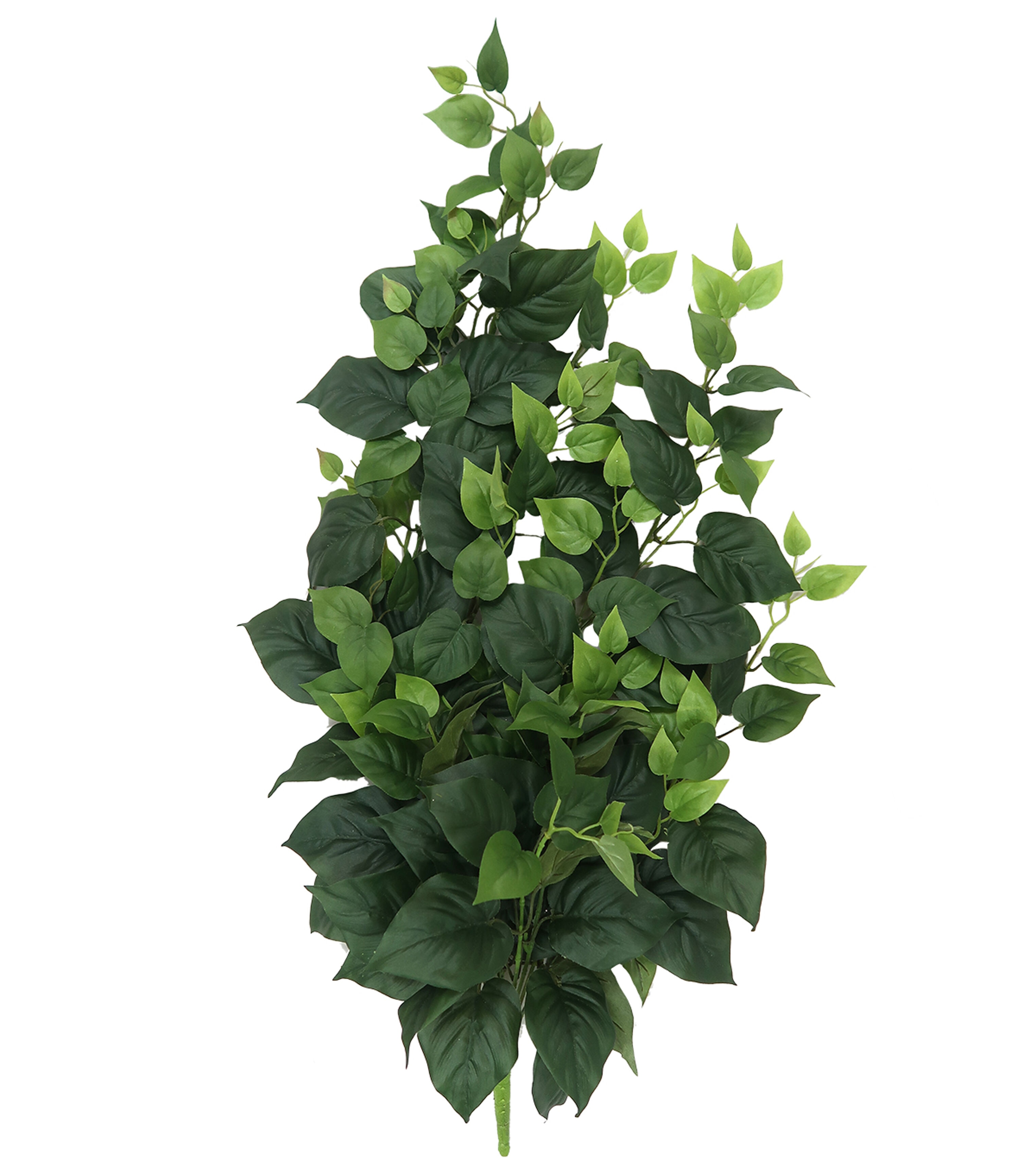 38 Hanging Philo Leaf Bush by Bloom Room