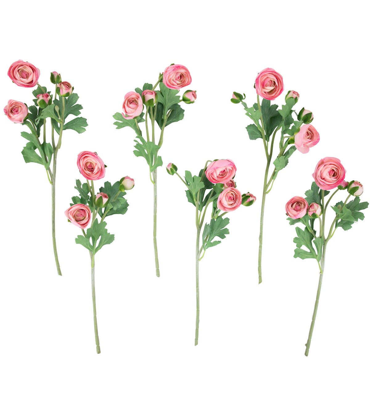 Northlight 21 Pink Ranunculus Stems 6ct