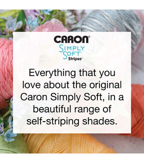 Caron Simply Soft Stripes 235yds Worsted Acrylic Yarn