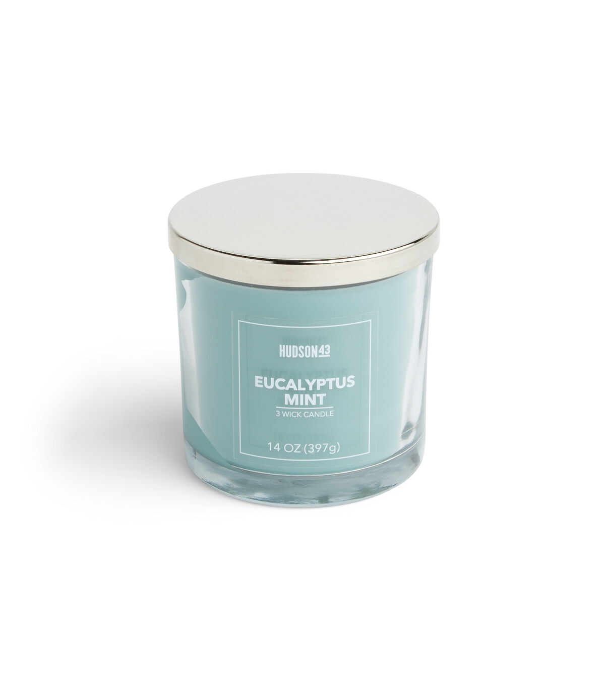 14oz Eucalyptus Mint Scented Jar Candle by Hudson 43