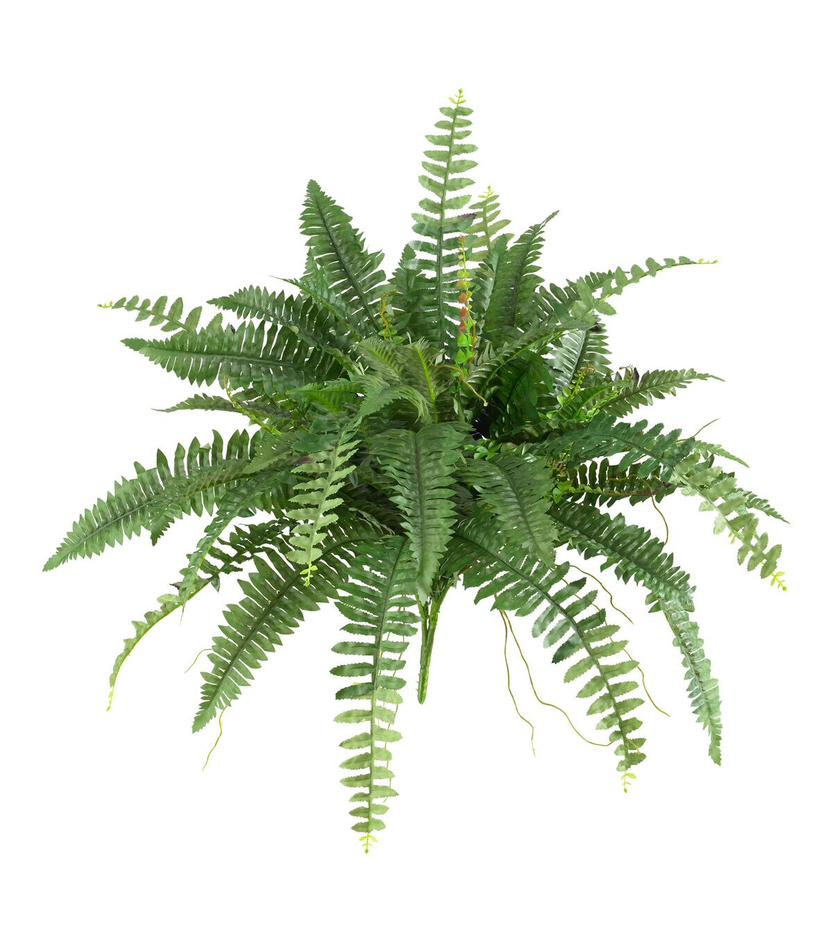Nearly Natural 40 Boston Fern Set of 2