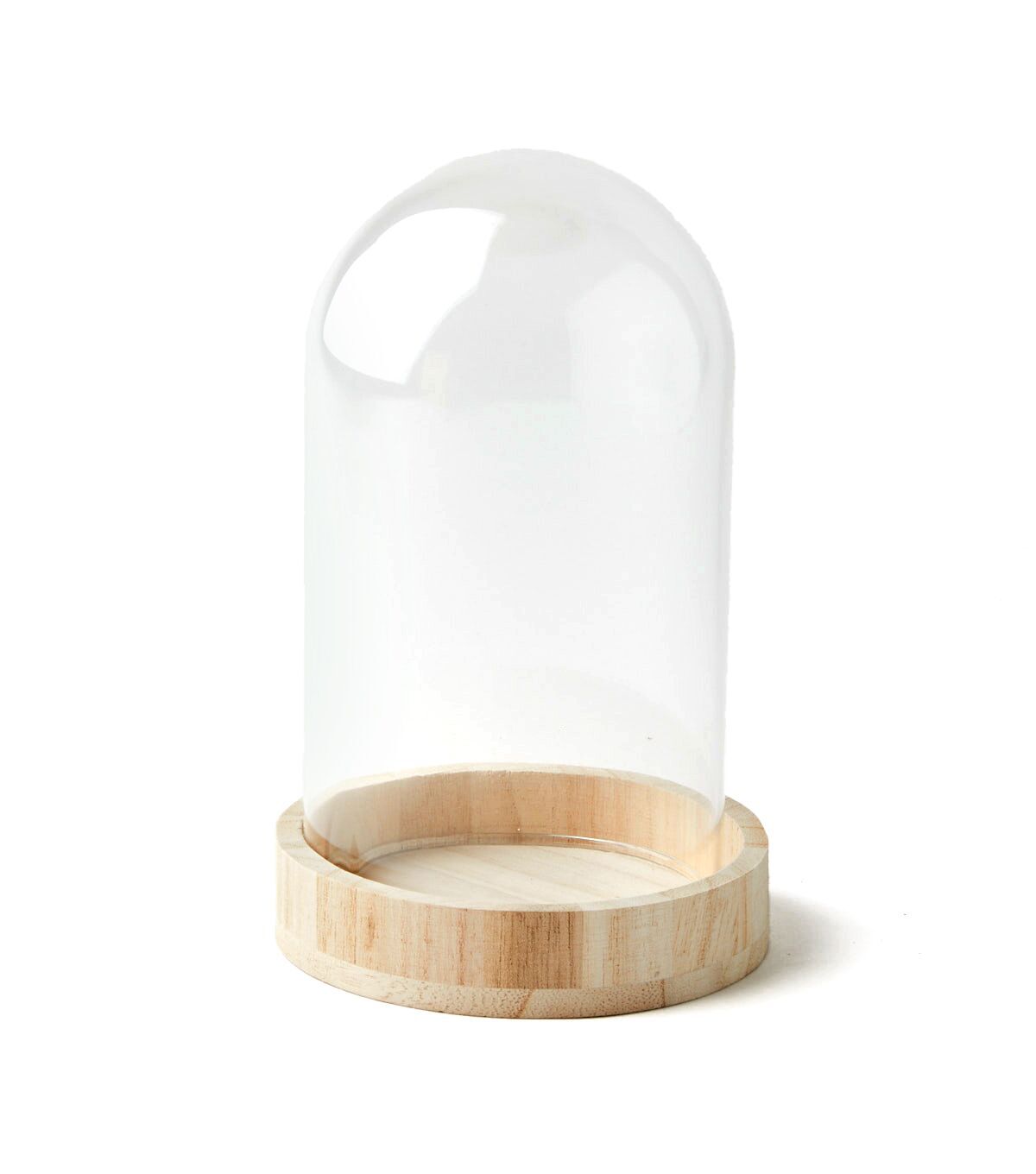 7.5 Dome Top Glass Terrarium by Park Lane