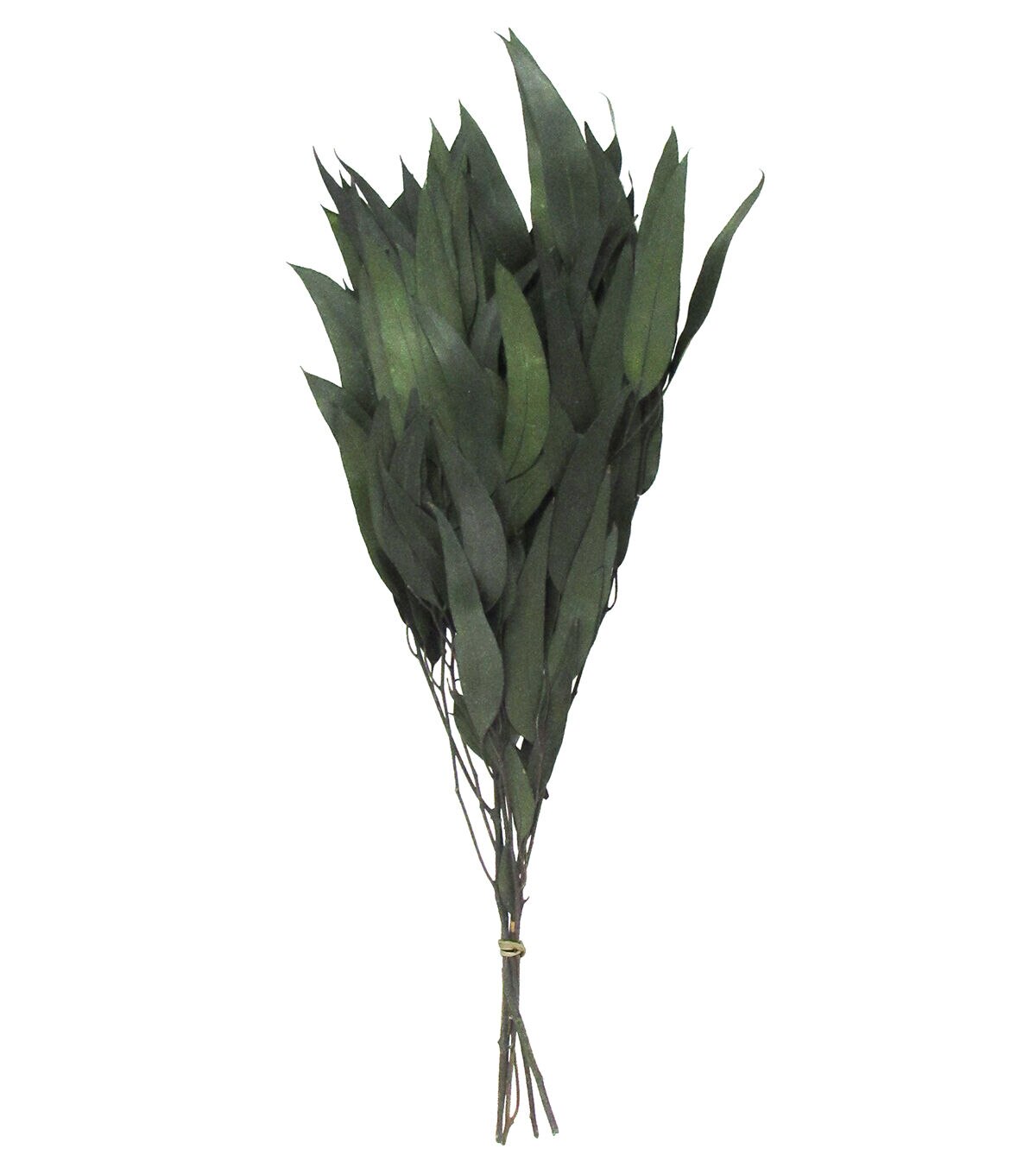 19 Dried Eucalyptus Leaves Bouquet by Bloom Room