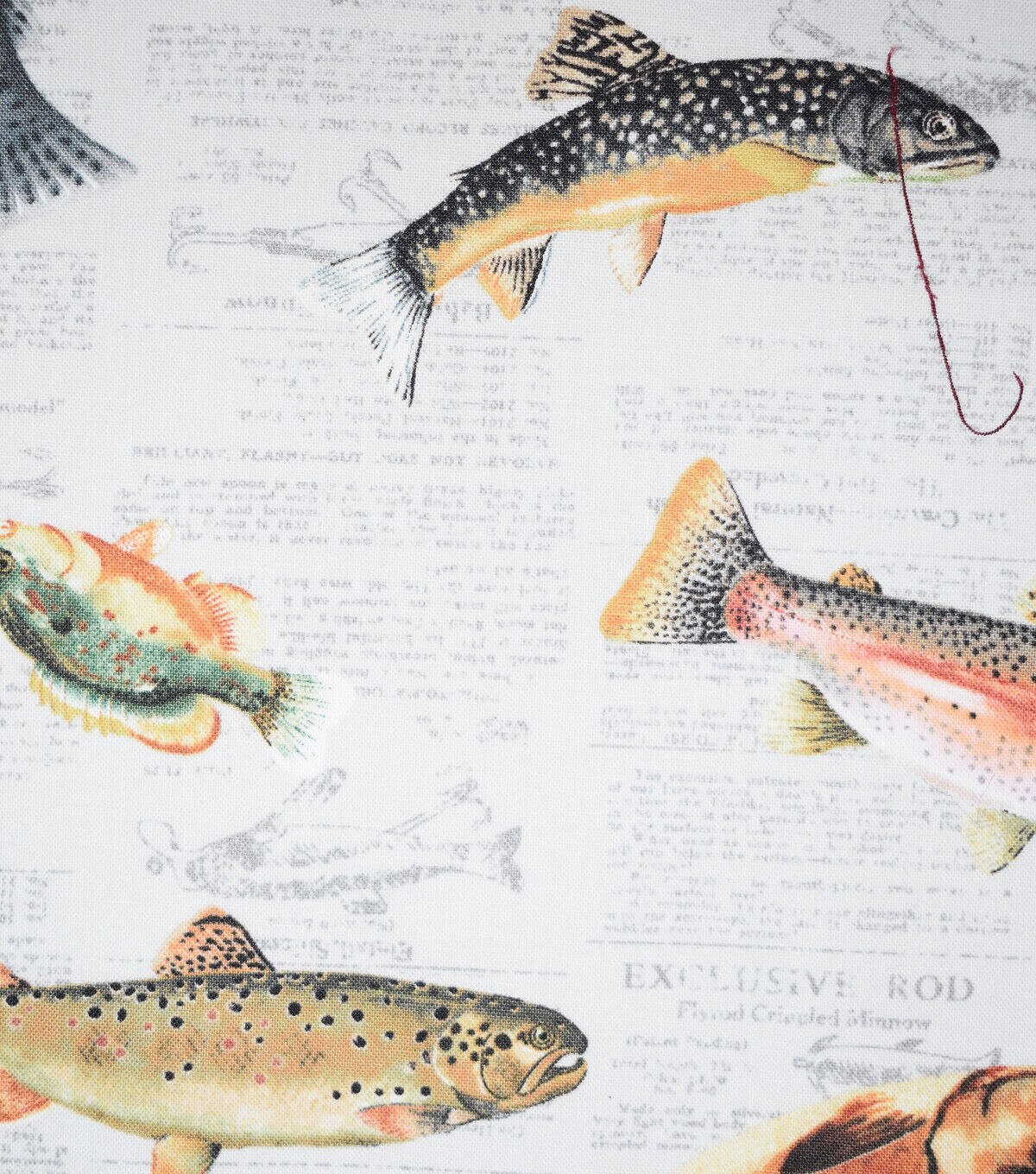 Novelty Cotton Fabric Fish on Newspaper