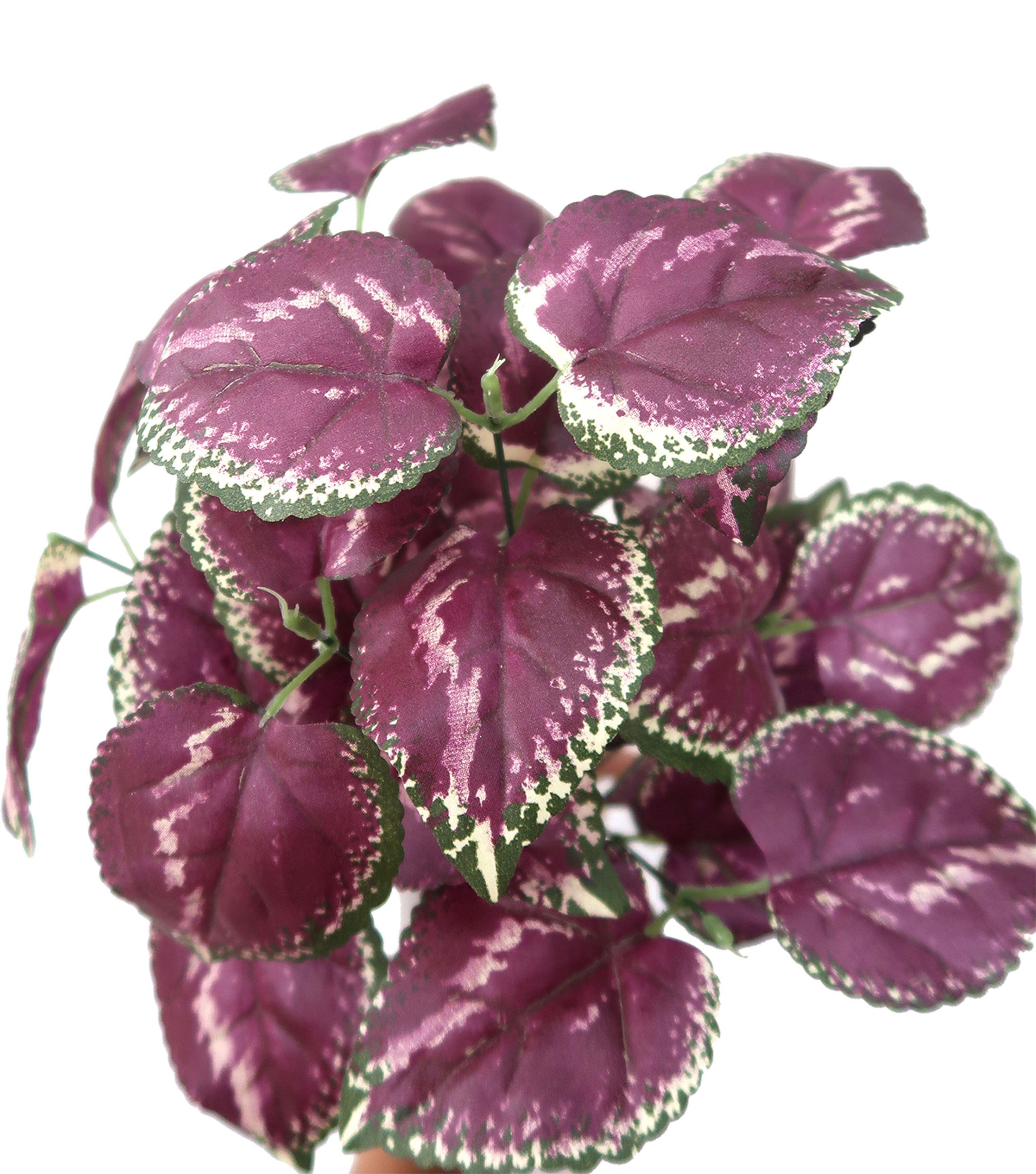 17 Purple & Green Ivy Bush by Bloom Room