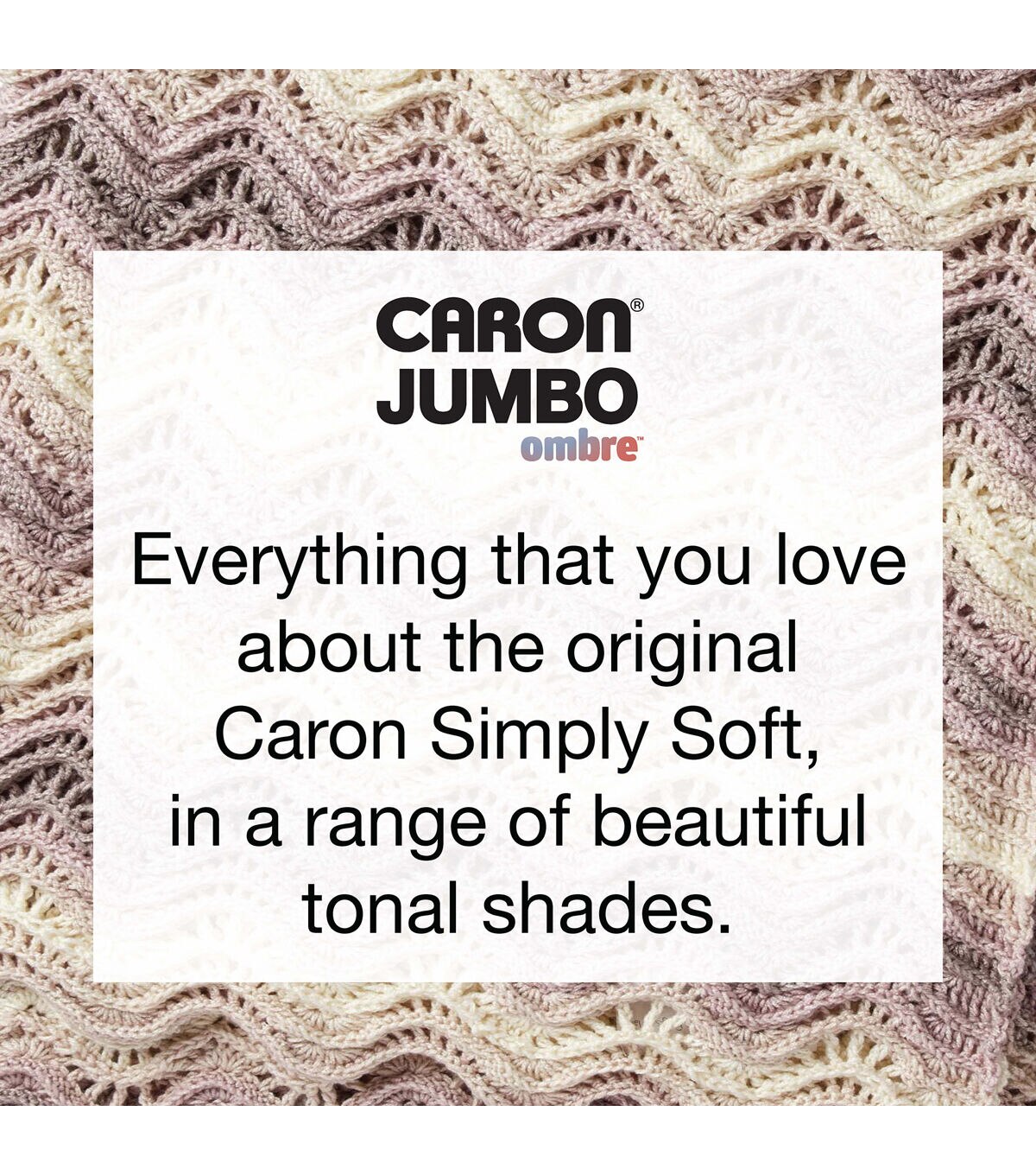Caron Simply Soft Ombres 235yds Worsted Acrylic Yarn