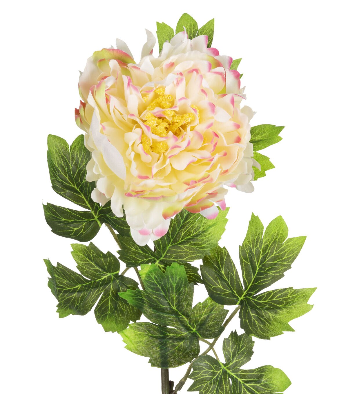 29 Yellow & White Peony Stem by Bloom Room