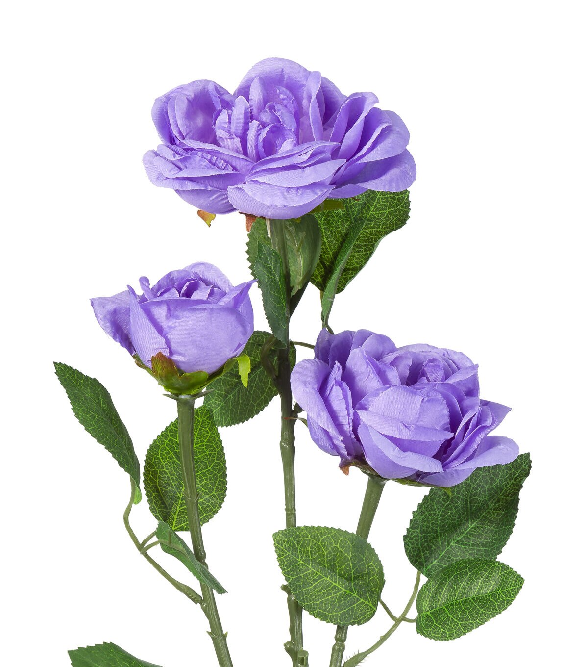 31 Purple Cabbage Rose Stem by Bloom Room