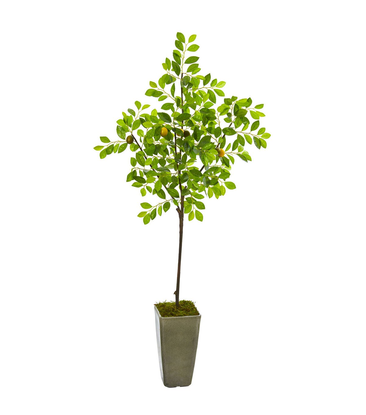 Nearly Natural 6' Lemon Artificial Tree in Olive Green Planter