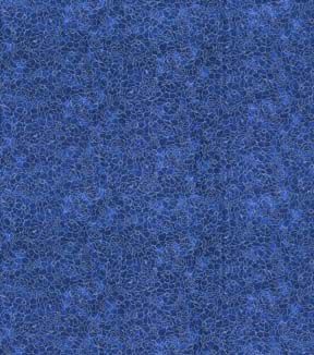 Fabric Traditions Blue Floral Cotton Fabric by Keepsake Calico