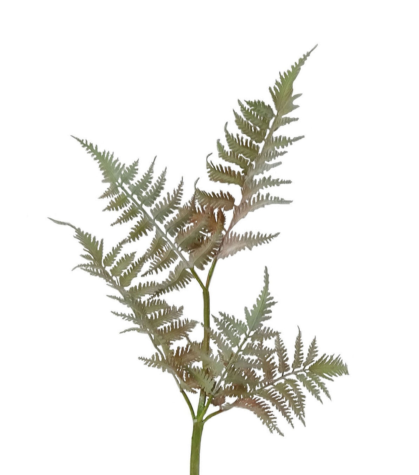 37 Green & Brown Faux Fern Stem by Bloom Room