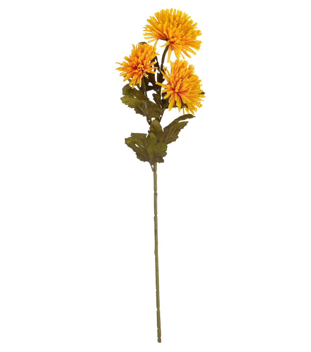 26 Deep Yellow Mum Stem by Bloom Room
