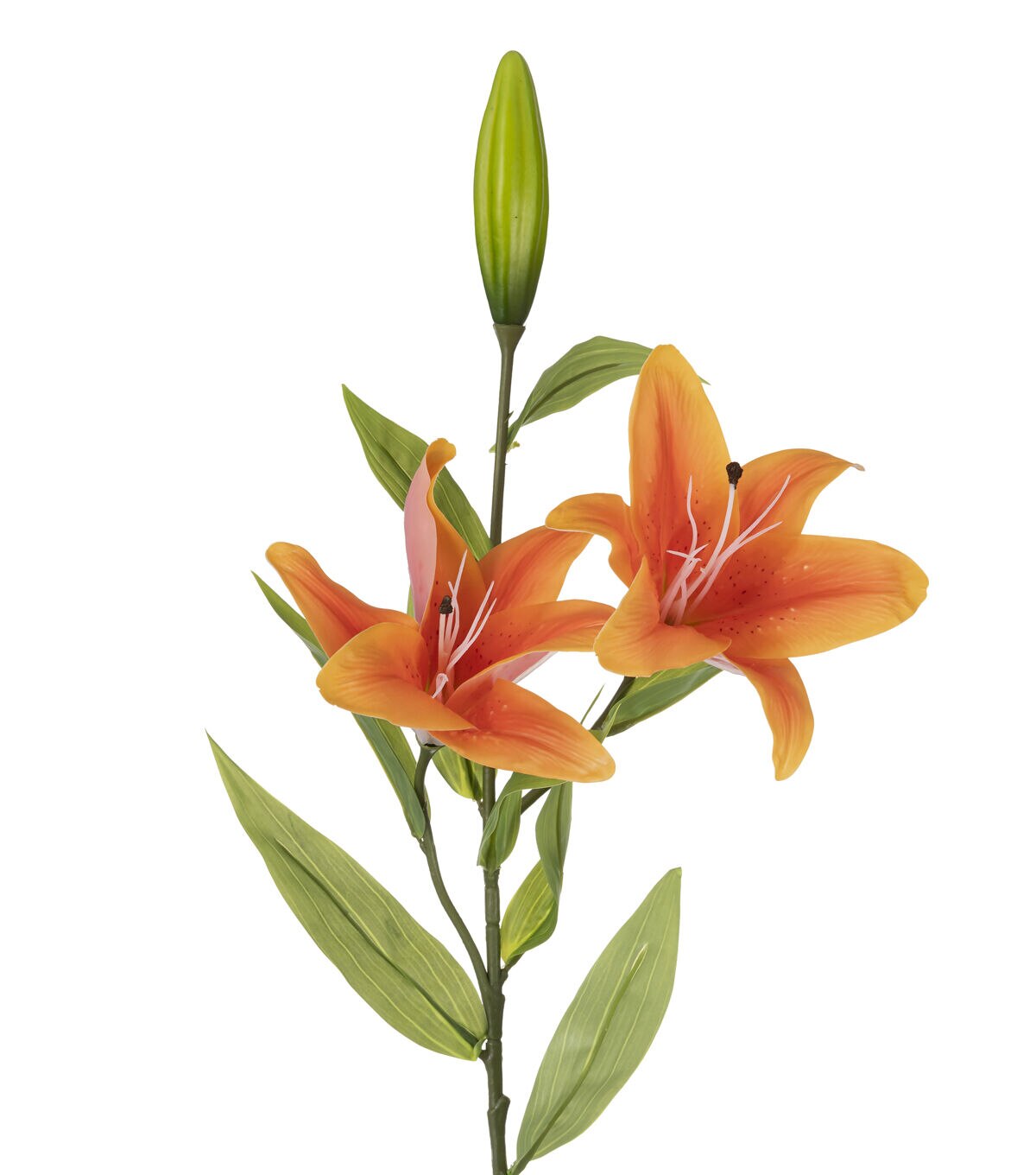 35 Orange Tiger Lily Stem by Bloom Room