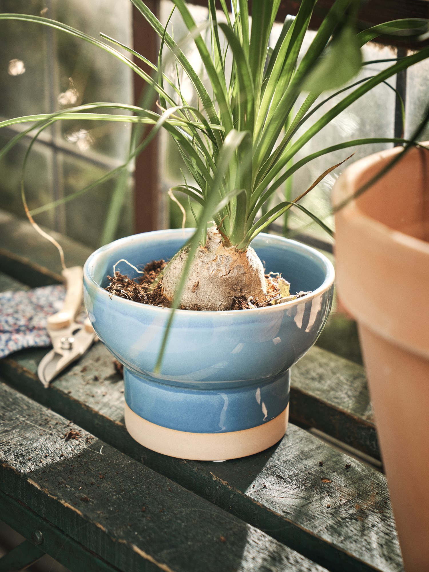Flowerpot