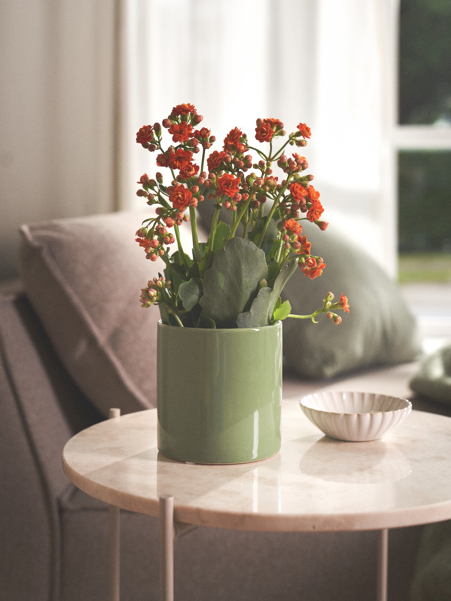 Flowerpot