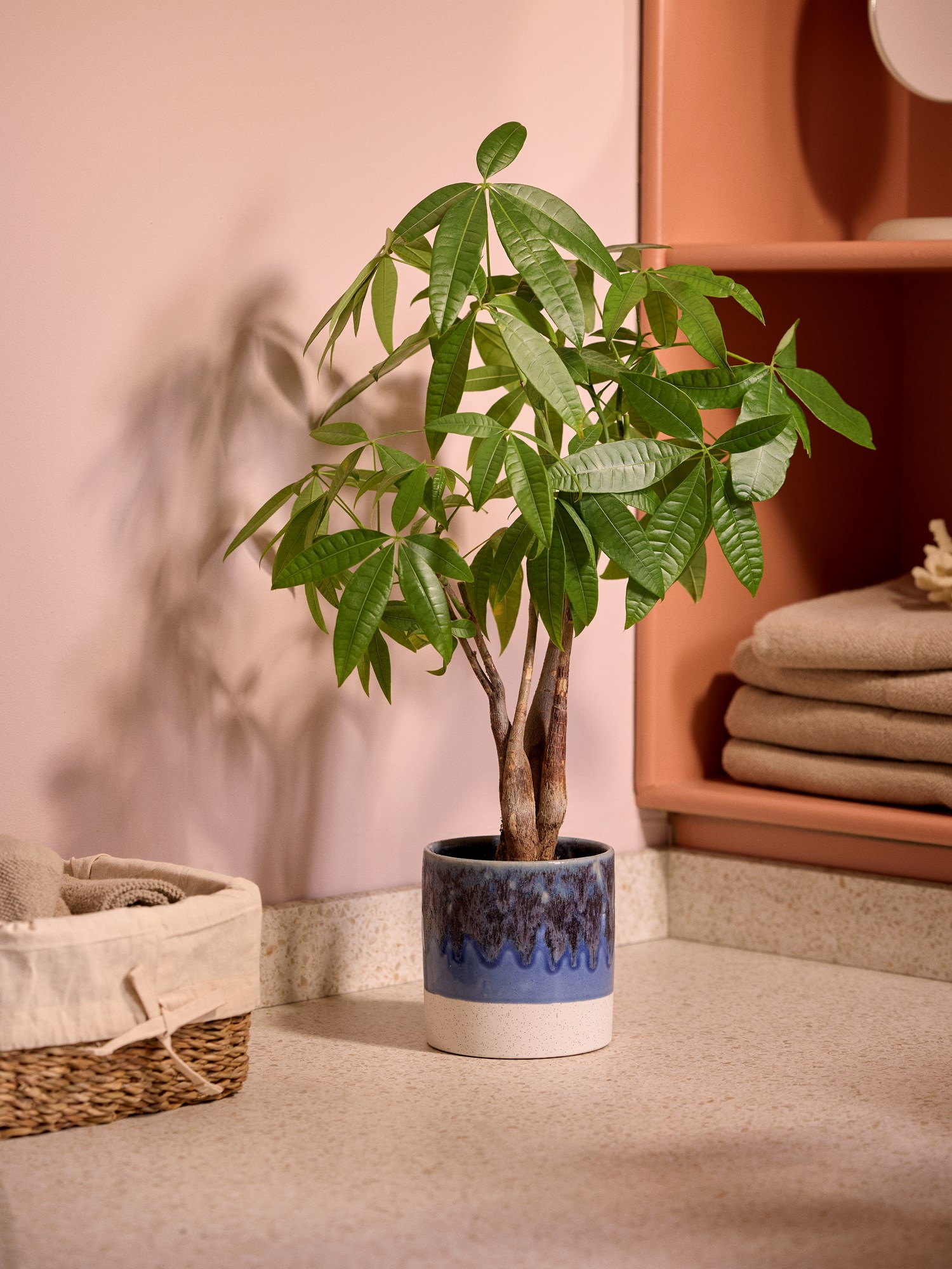 Flowerpot