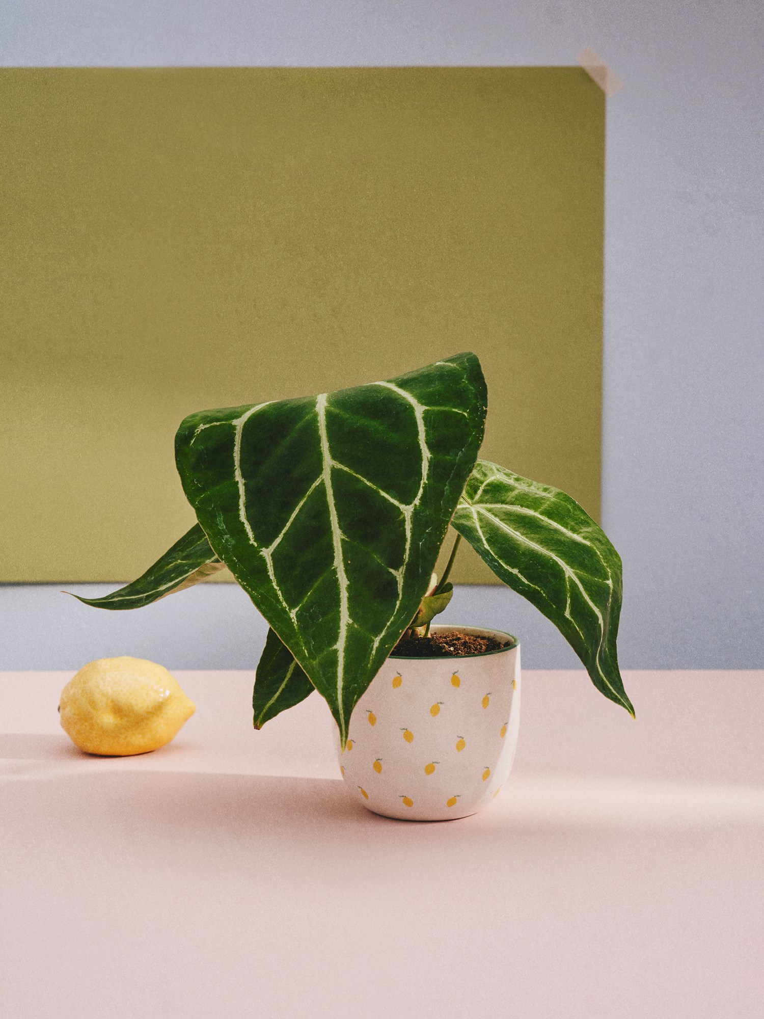 Flowerpot