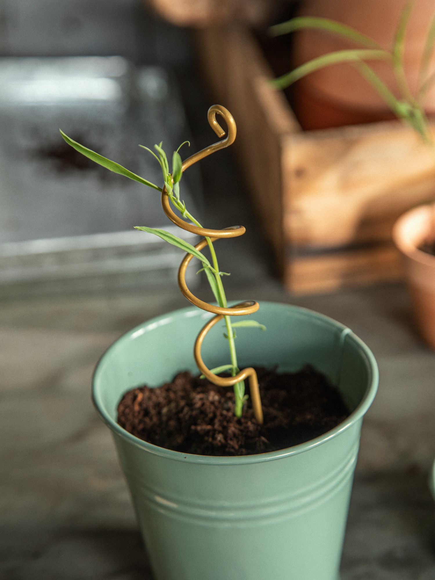 Plant support stick