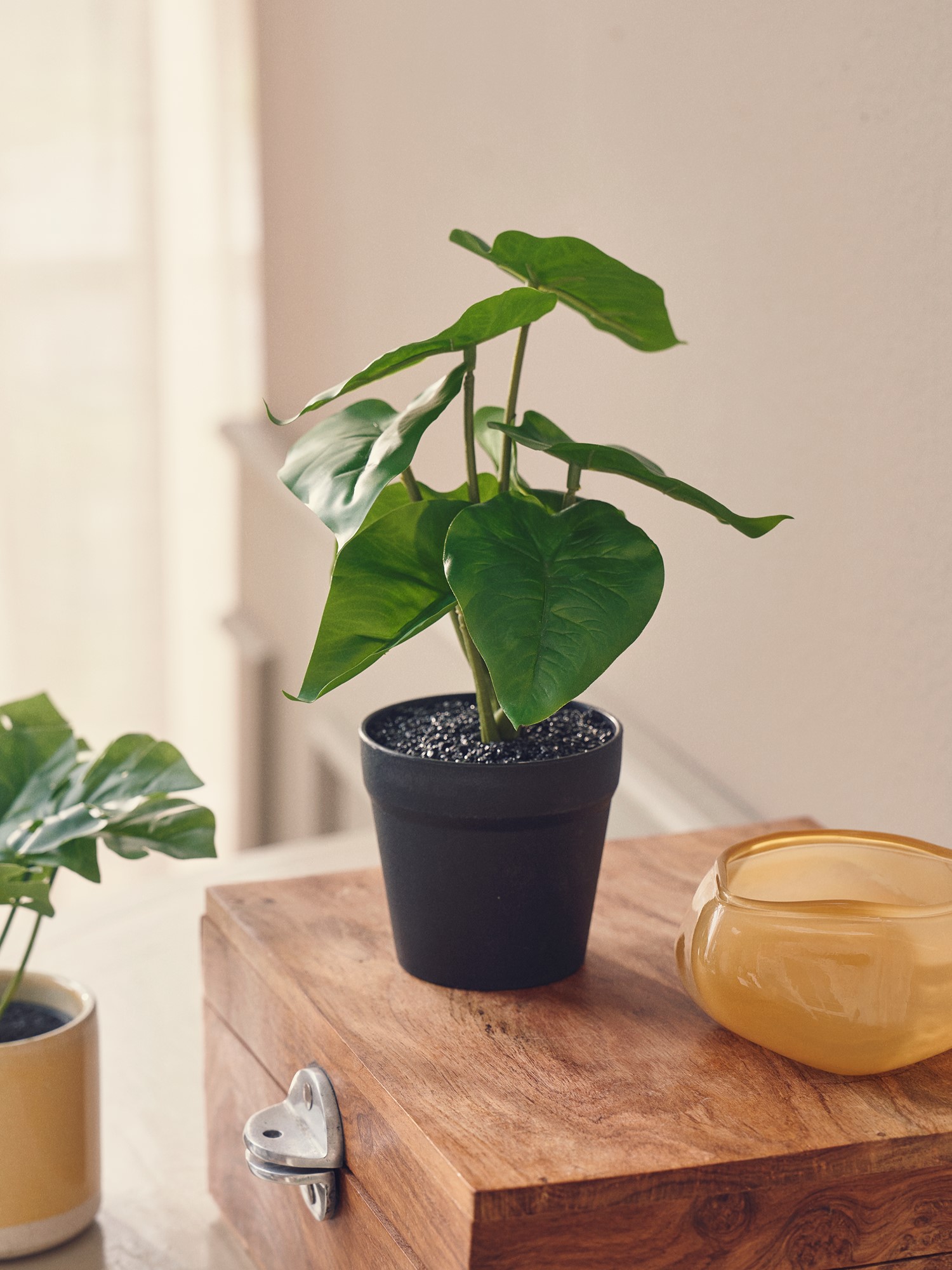 Artificial plant in pot philodendron