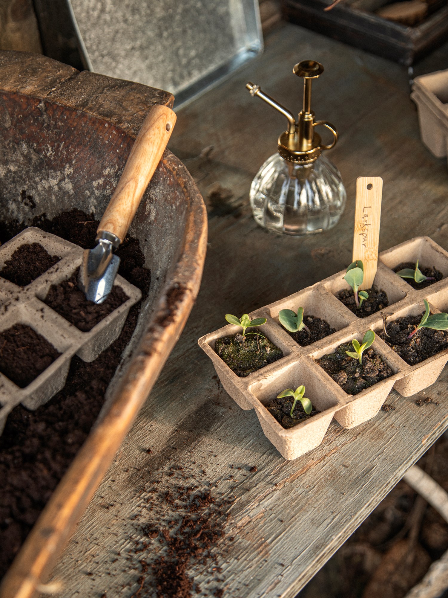Seedling pots