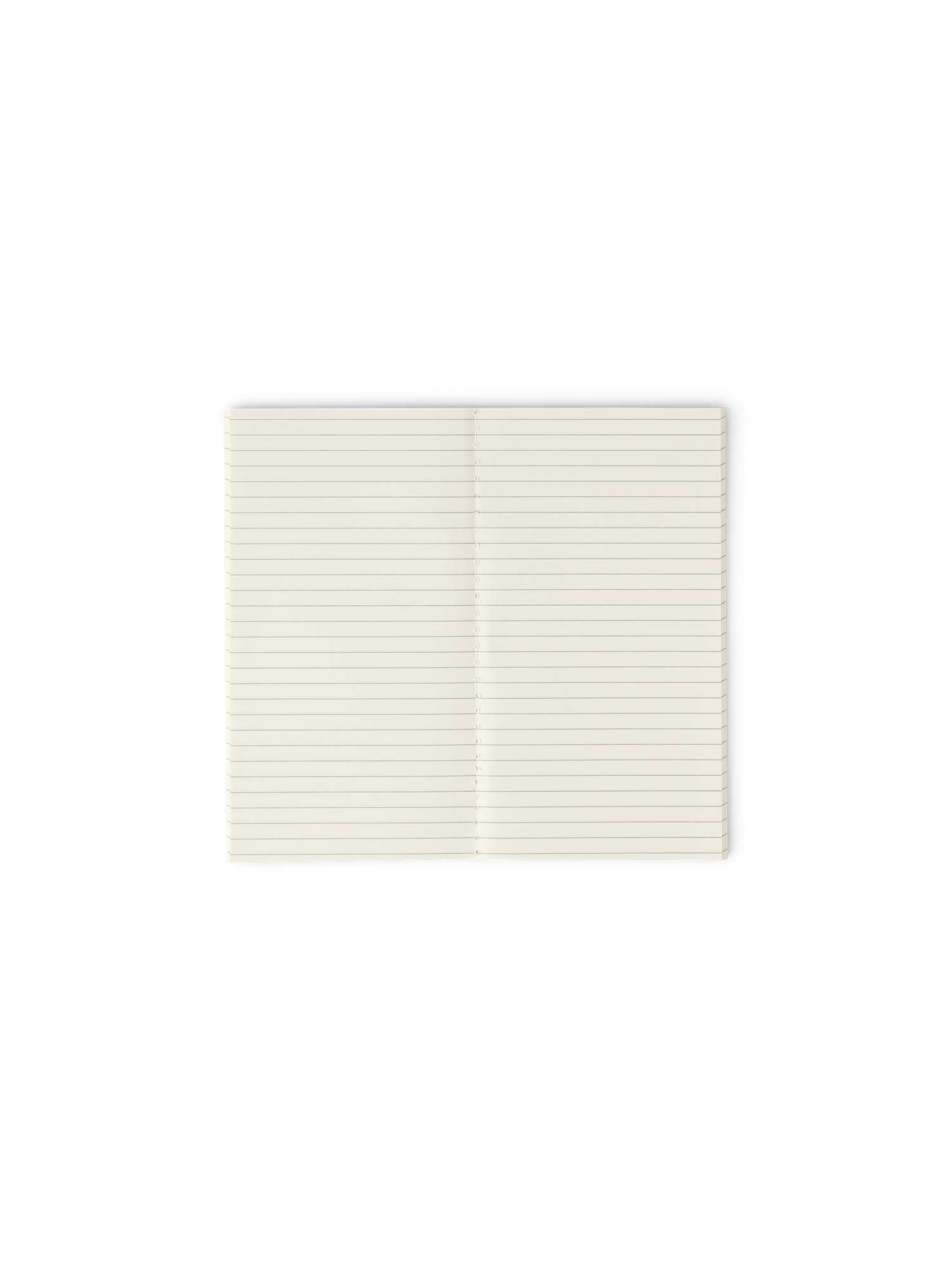Notebook 10.5 x 19