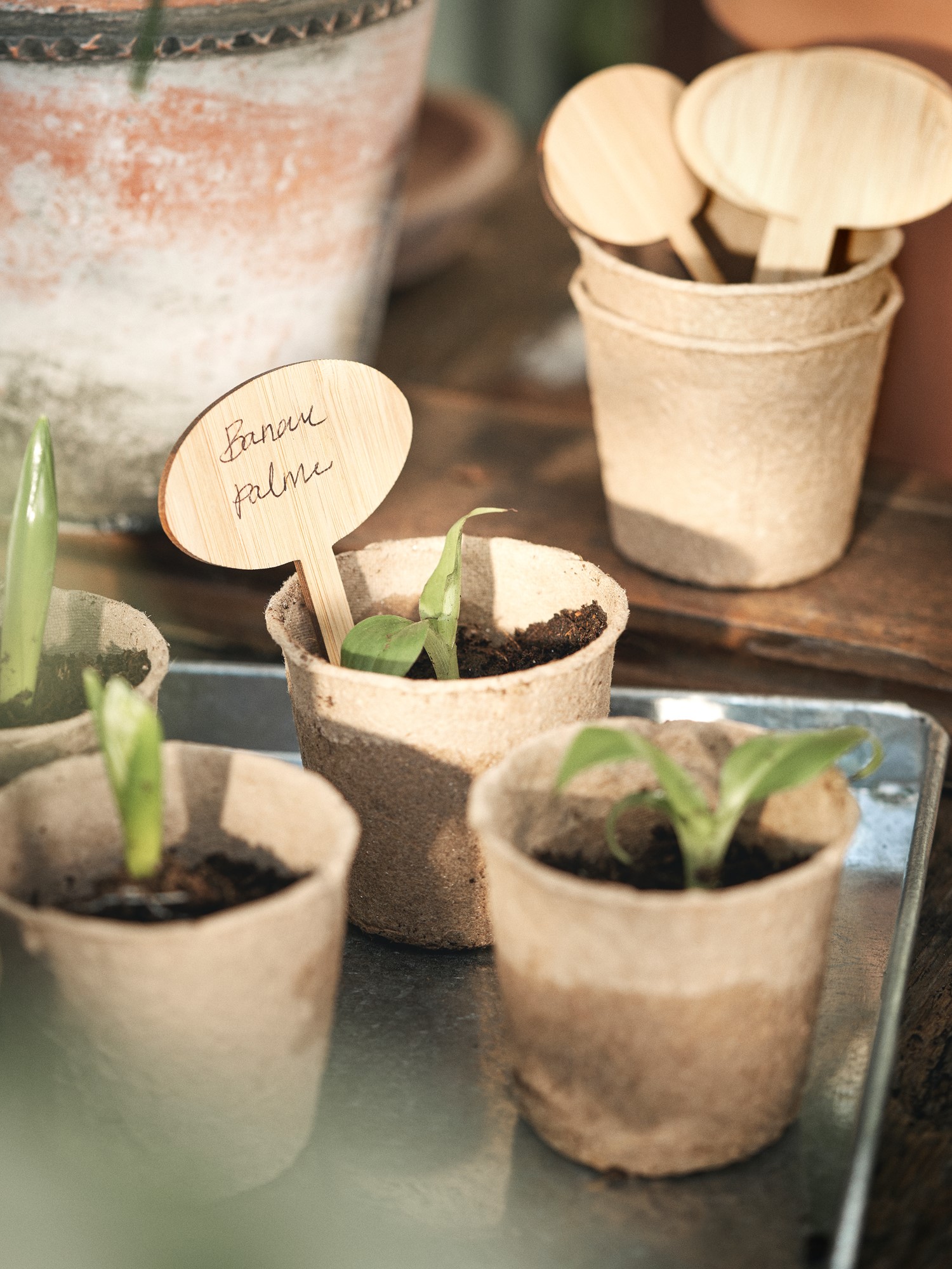 Plant markers