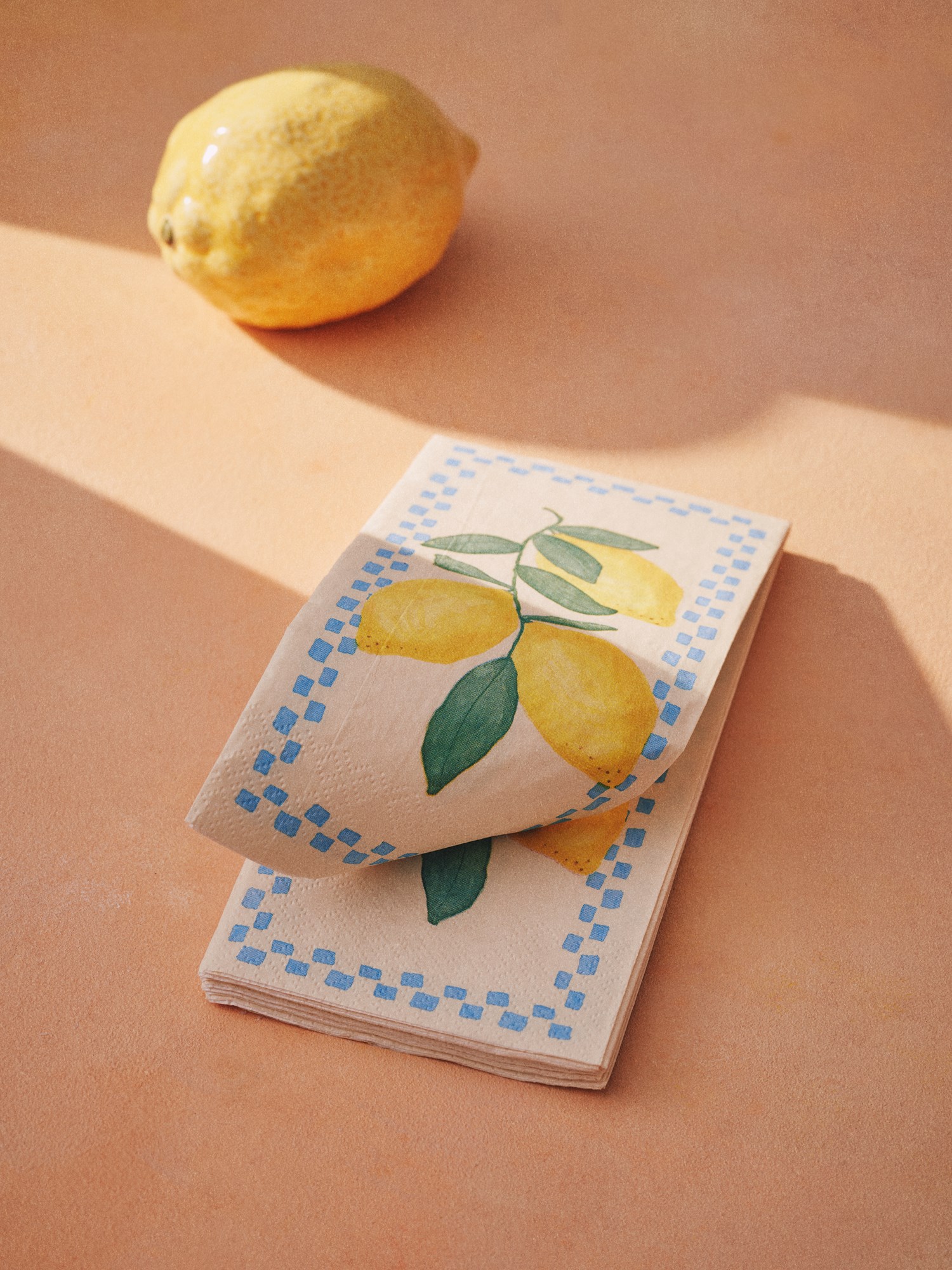 Napkins 40 x 40 cm
