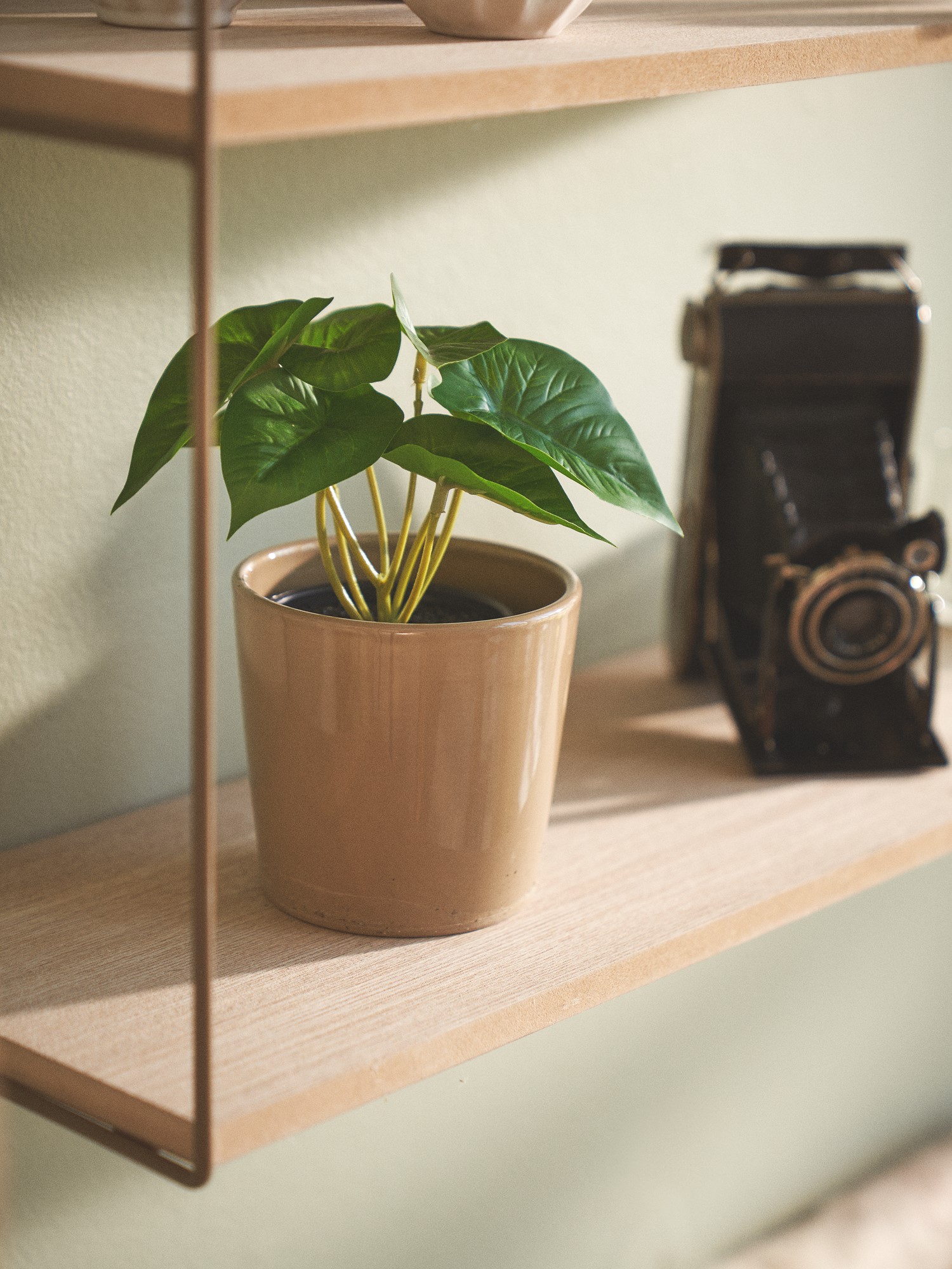 Artificial plant in pot