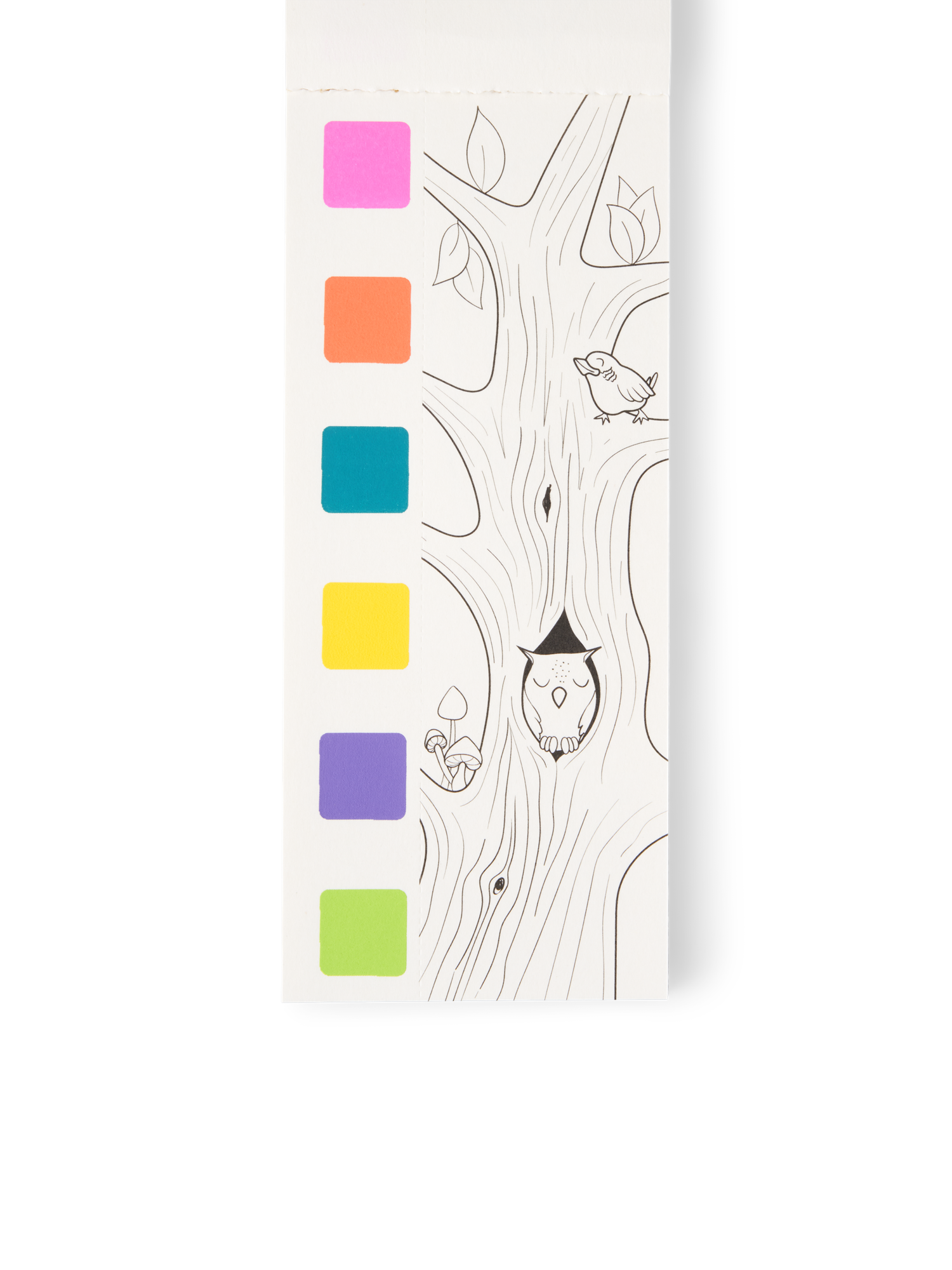 Watercolour book kit