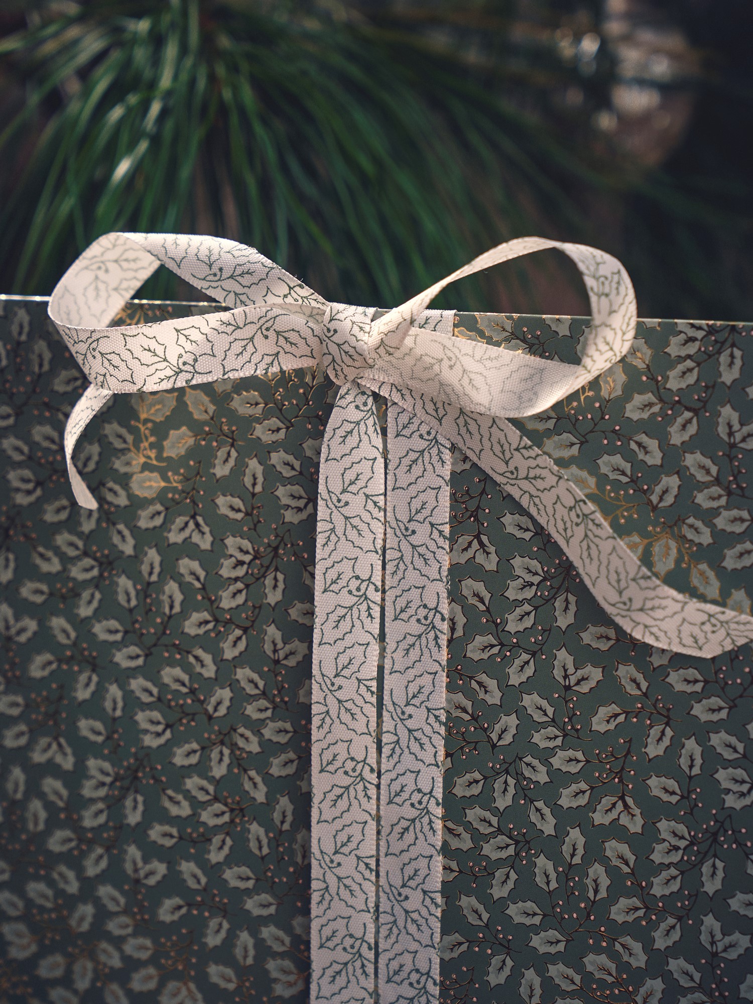 Ribbon