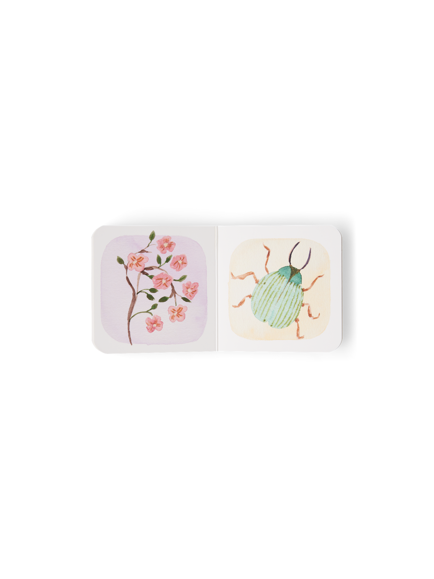 My Little Book