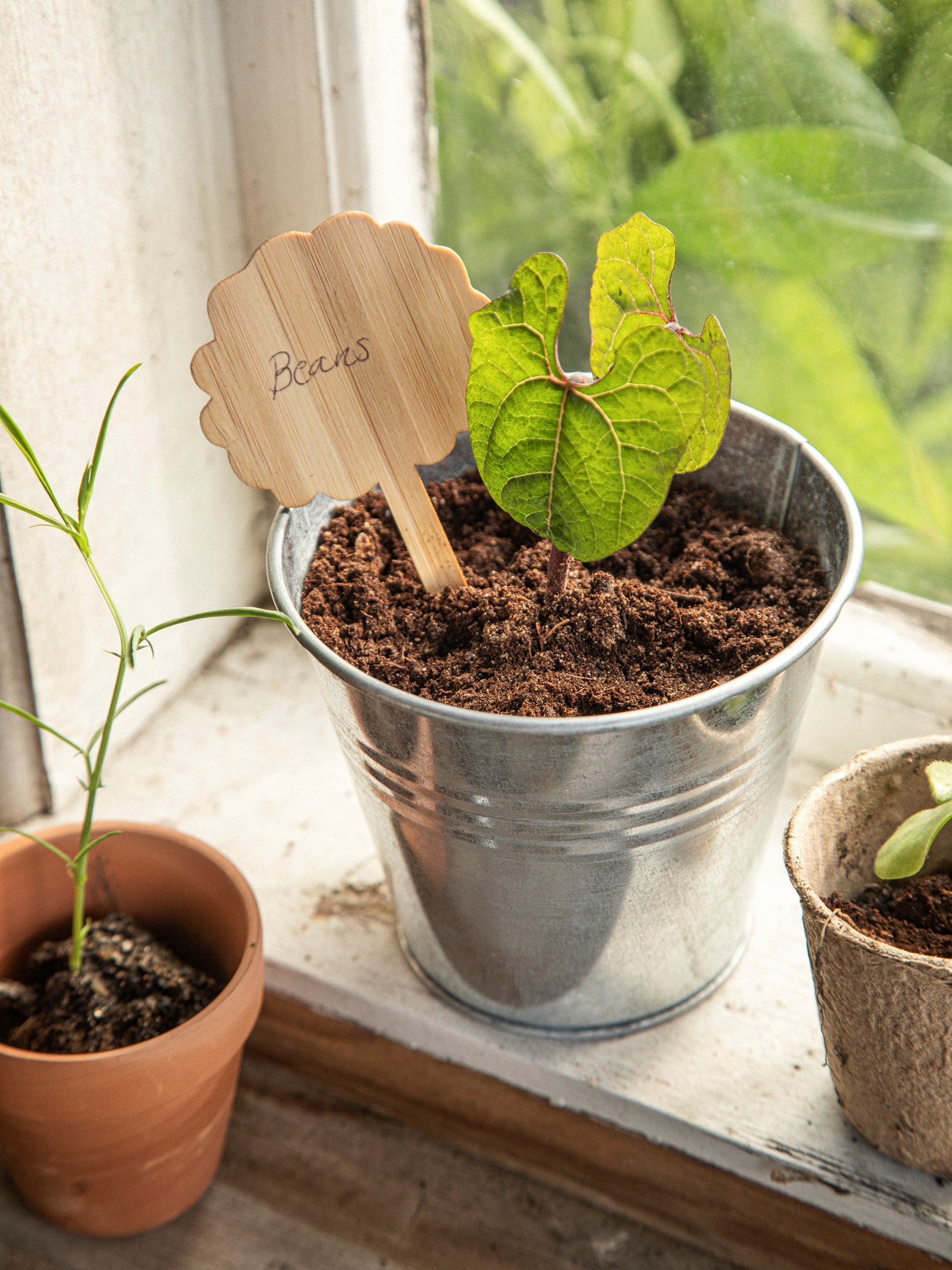 Plant markers