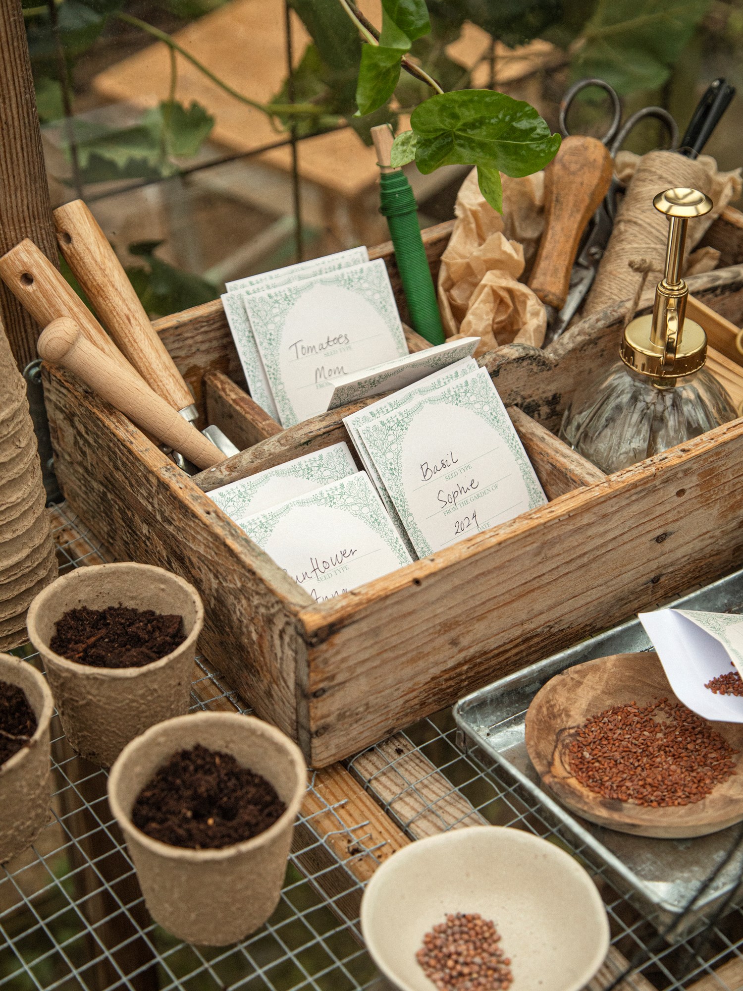 Seed bags