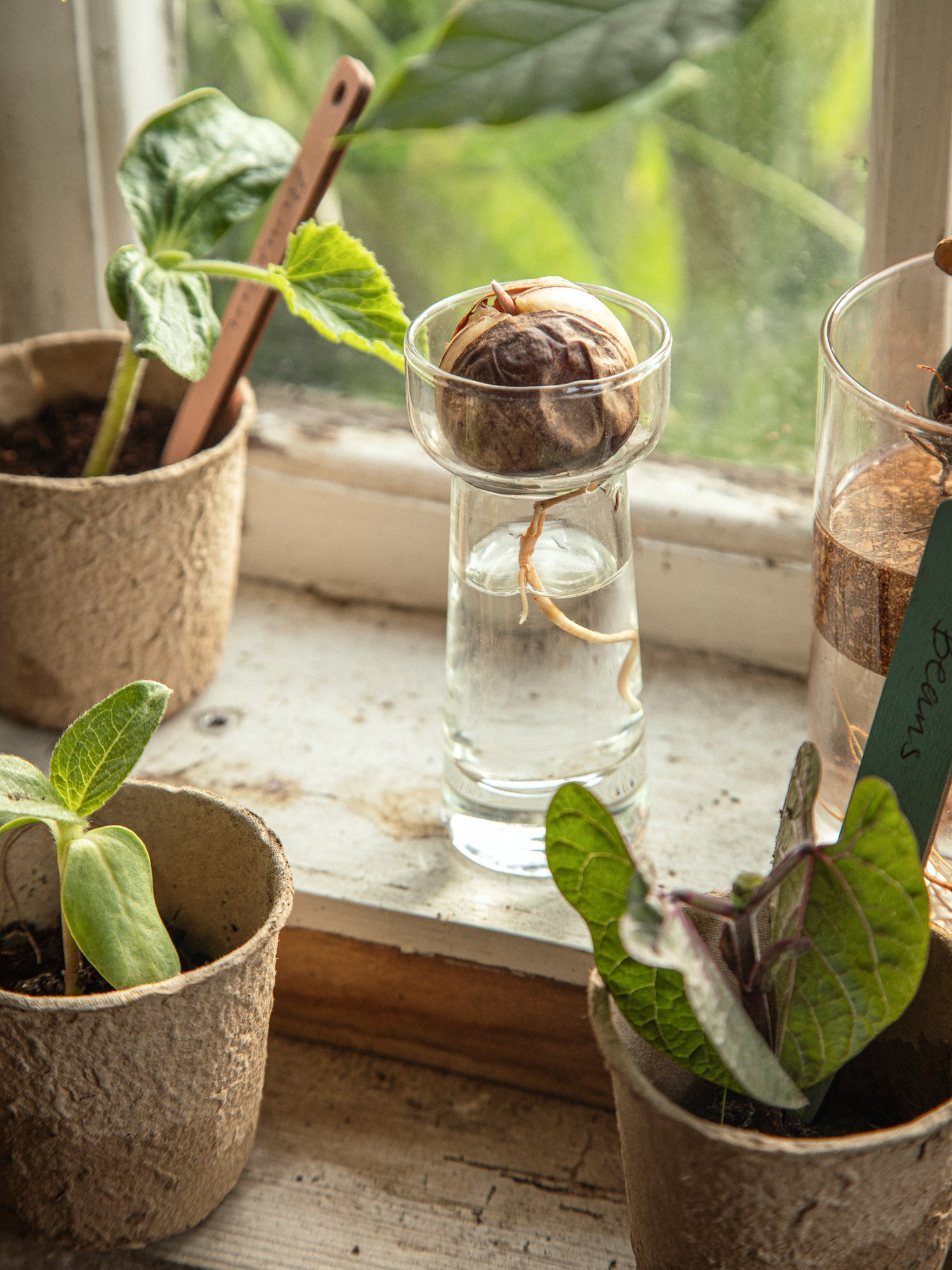 Vase