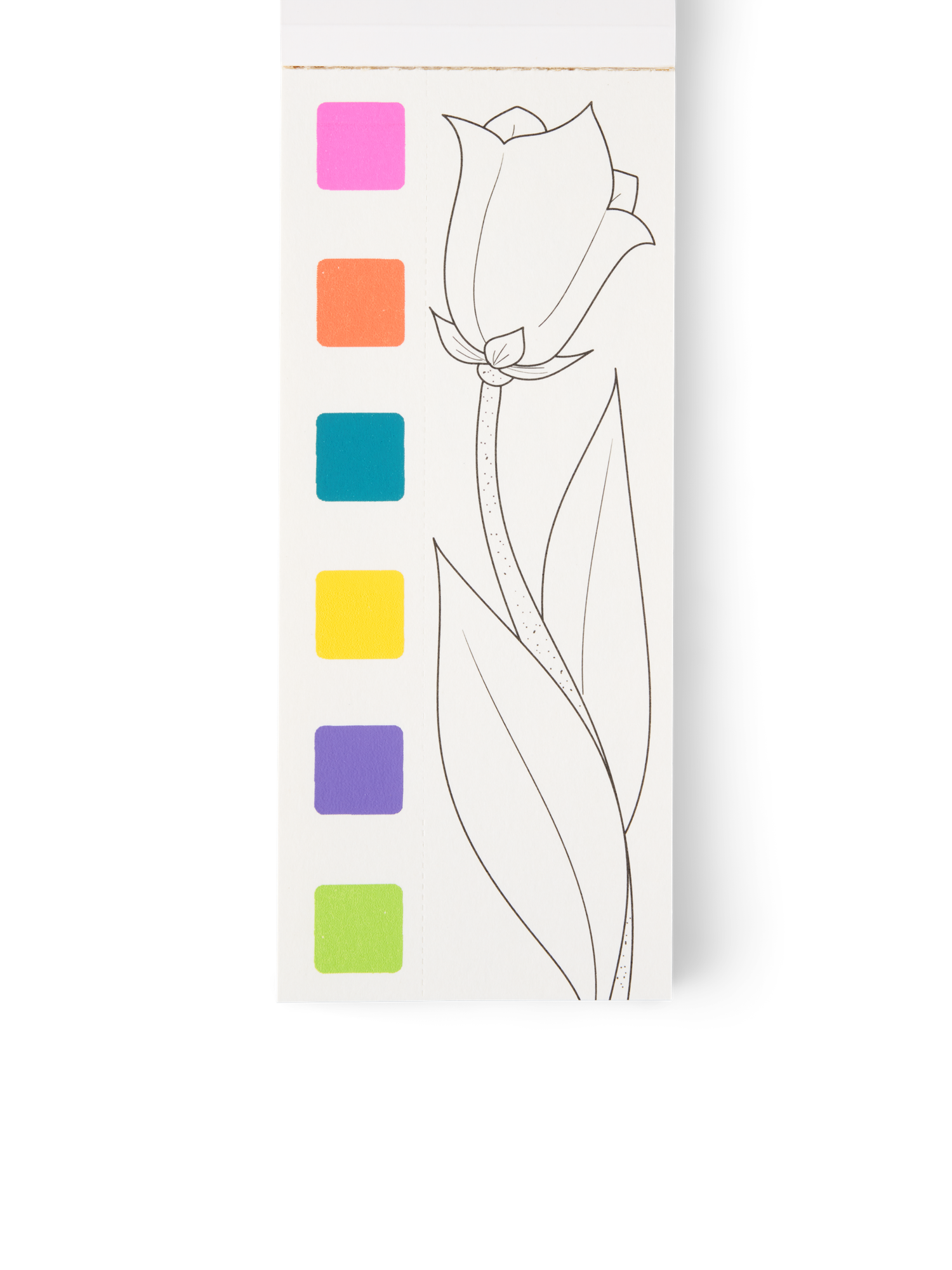 Watercolour book kit