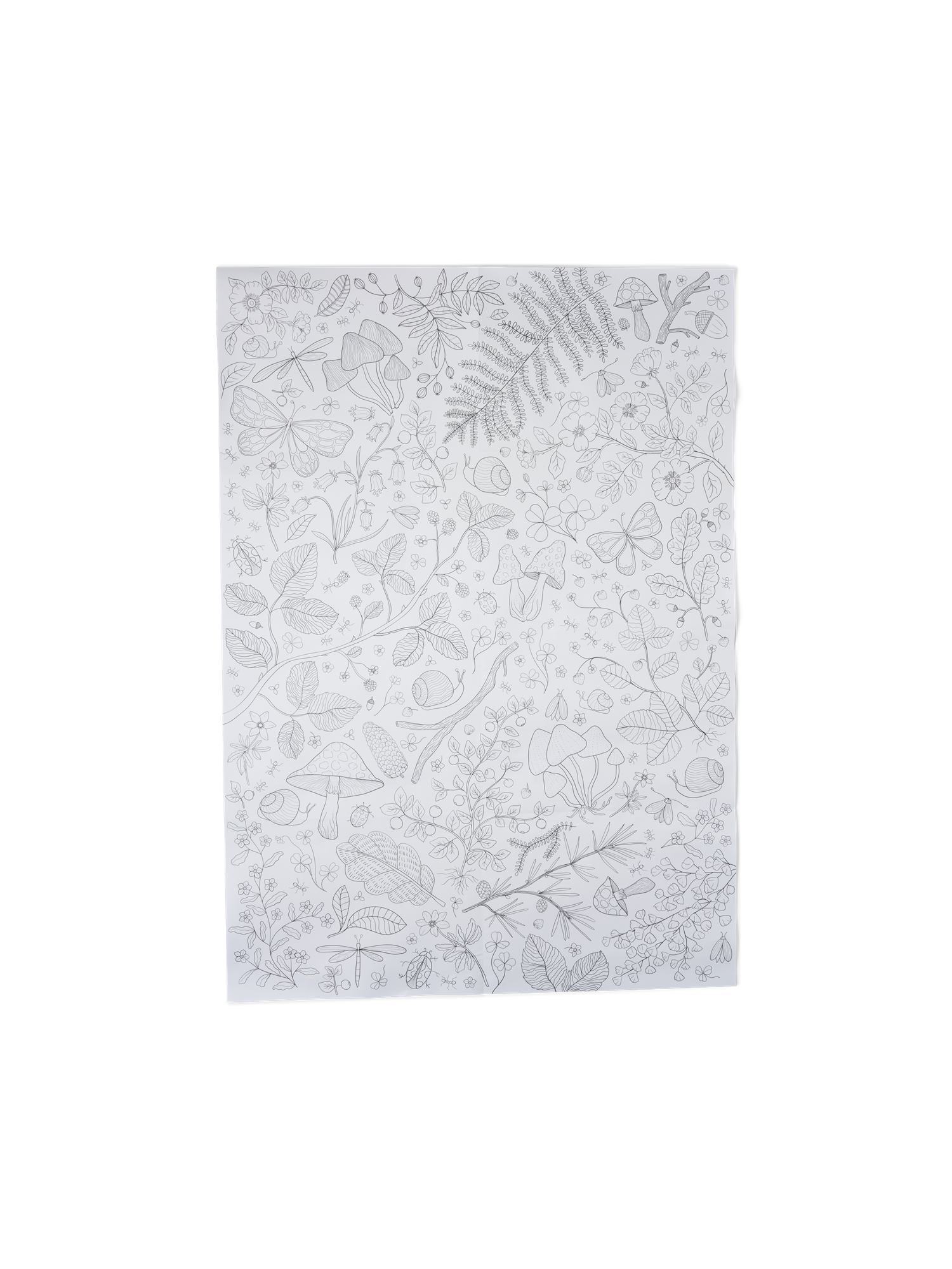 Colouring poster