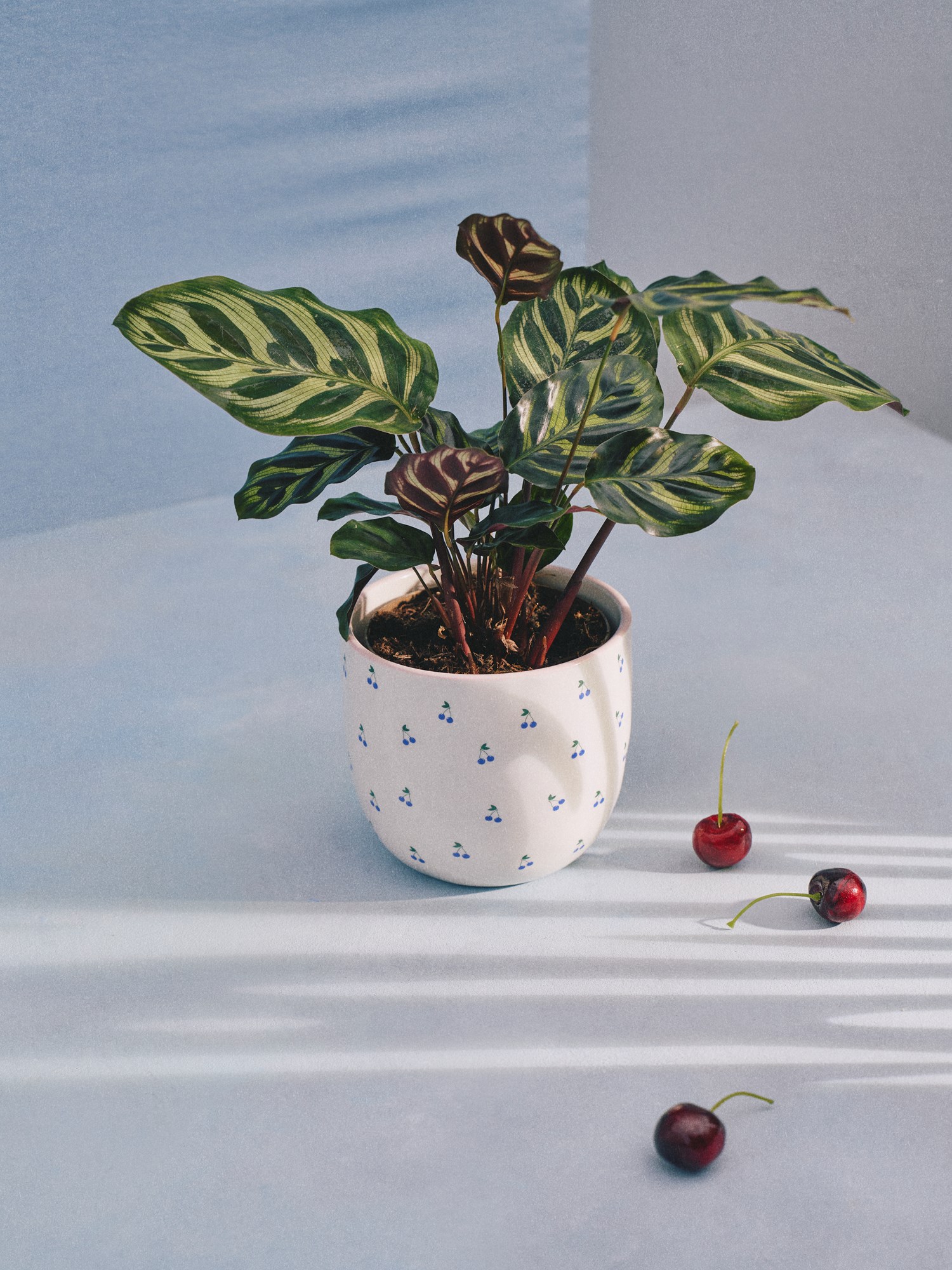Flowerpot