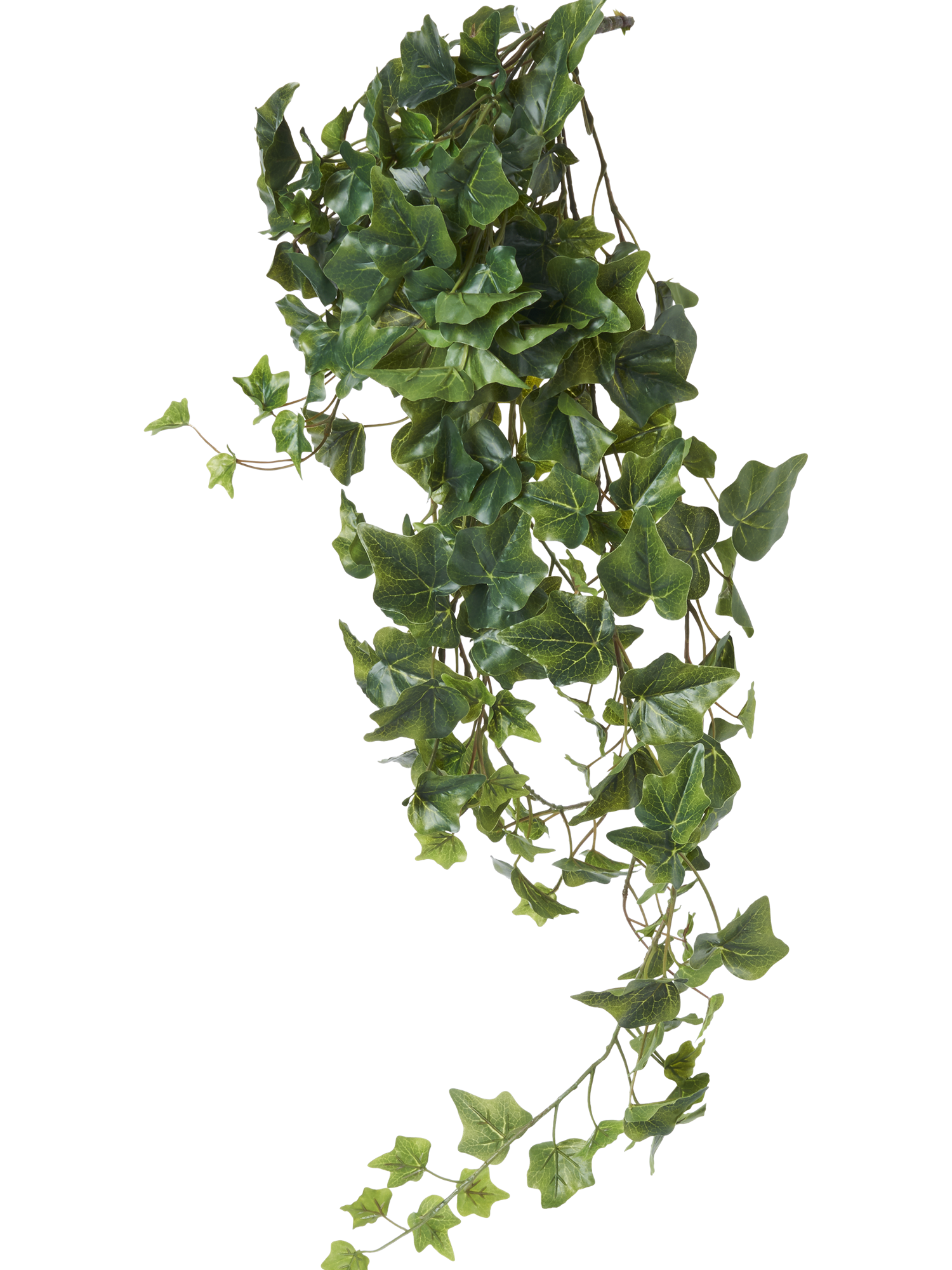 Artificial ivy