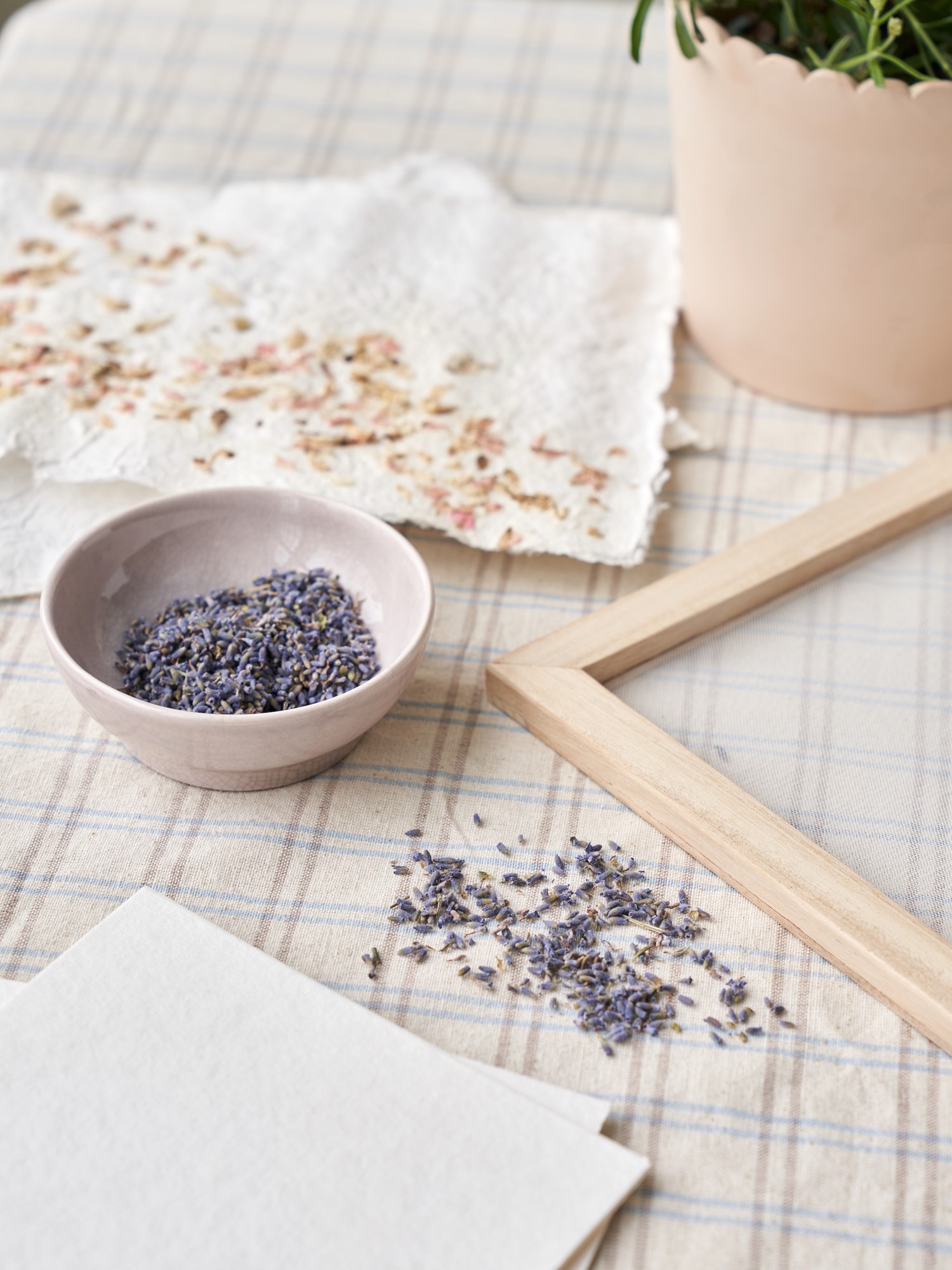 Pulp for paper-making