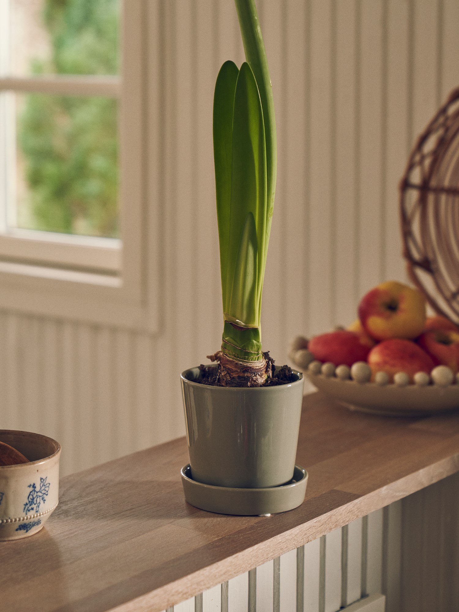 Flowerpot with saucer