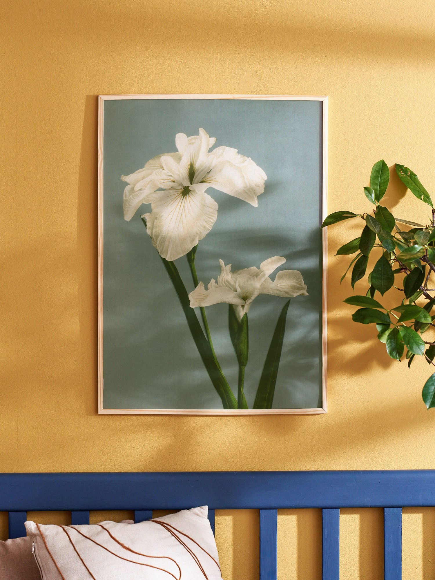 Poster 50 x 70