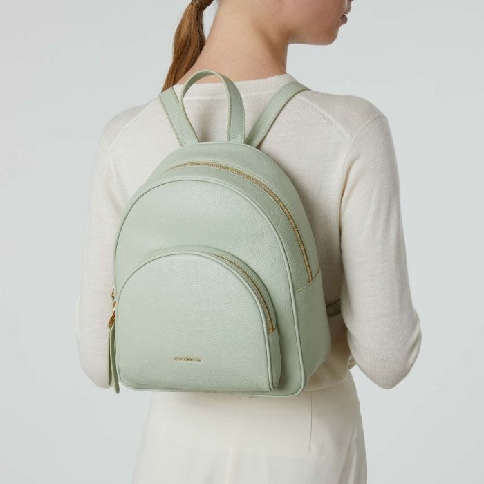 Coccinelle gleen Medium