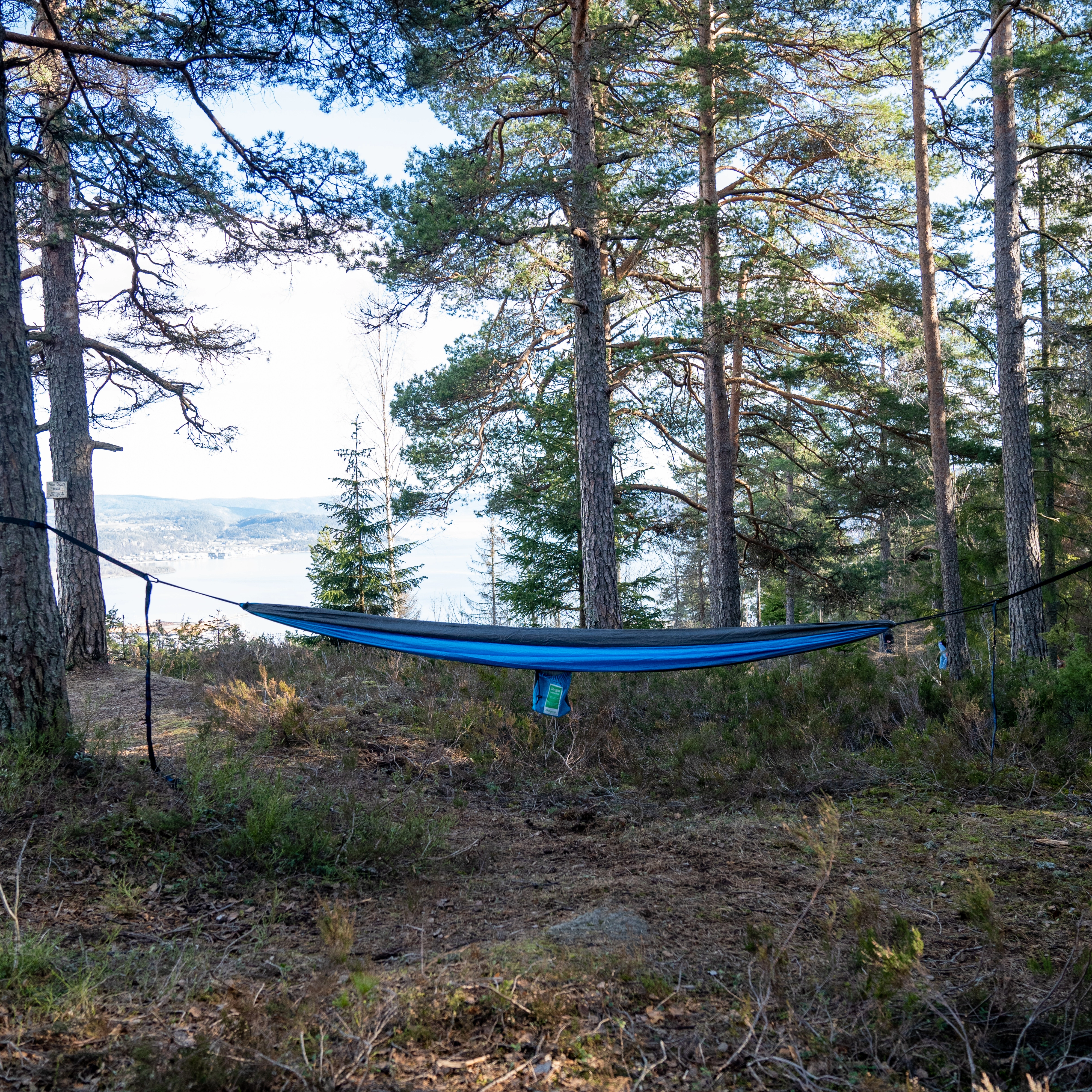 Single Hammock