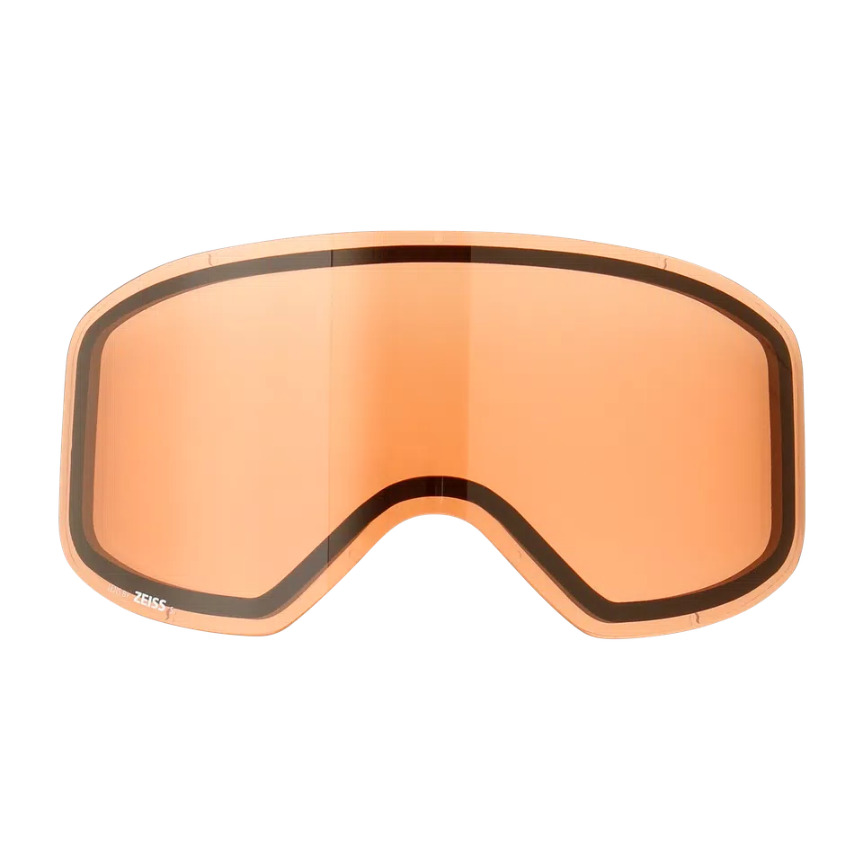 HP HORIZON SKI GOOGLES