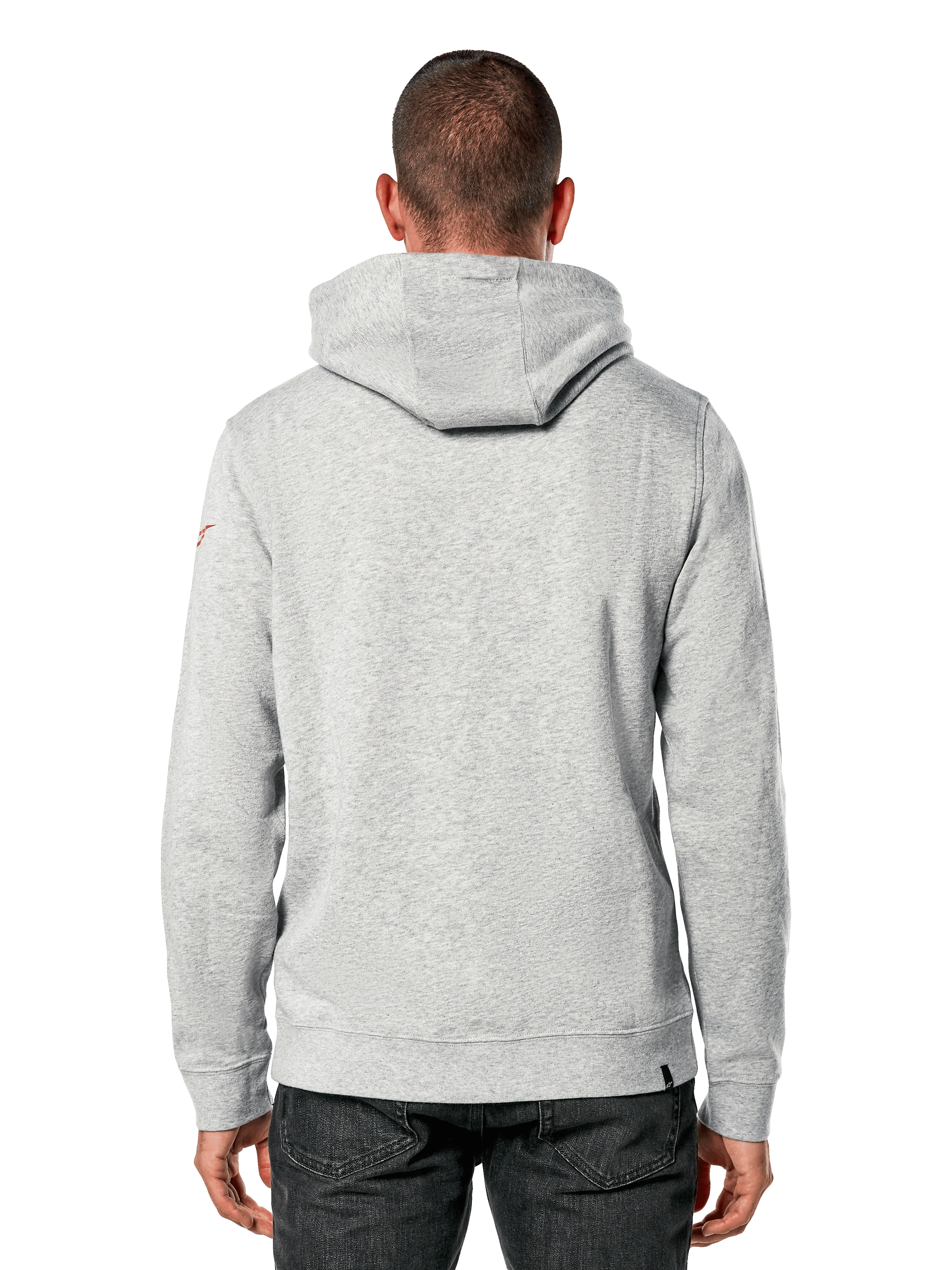 Linear Wordmark V3 Hoodie | Alpinestars