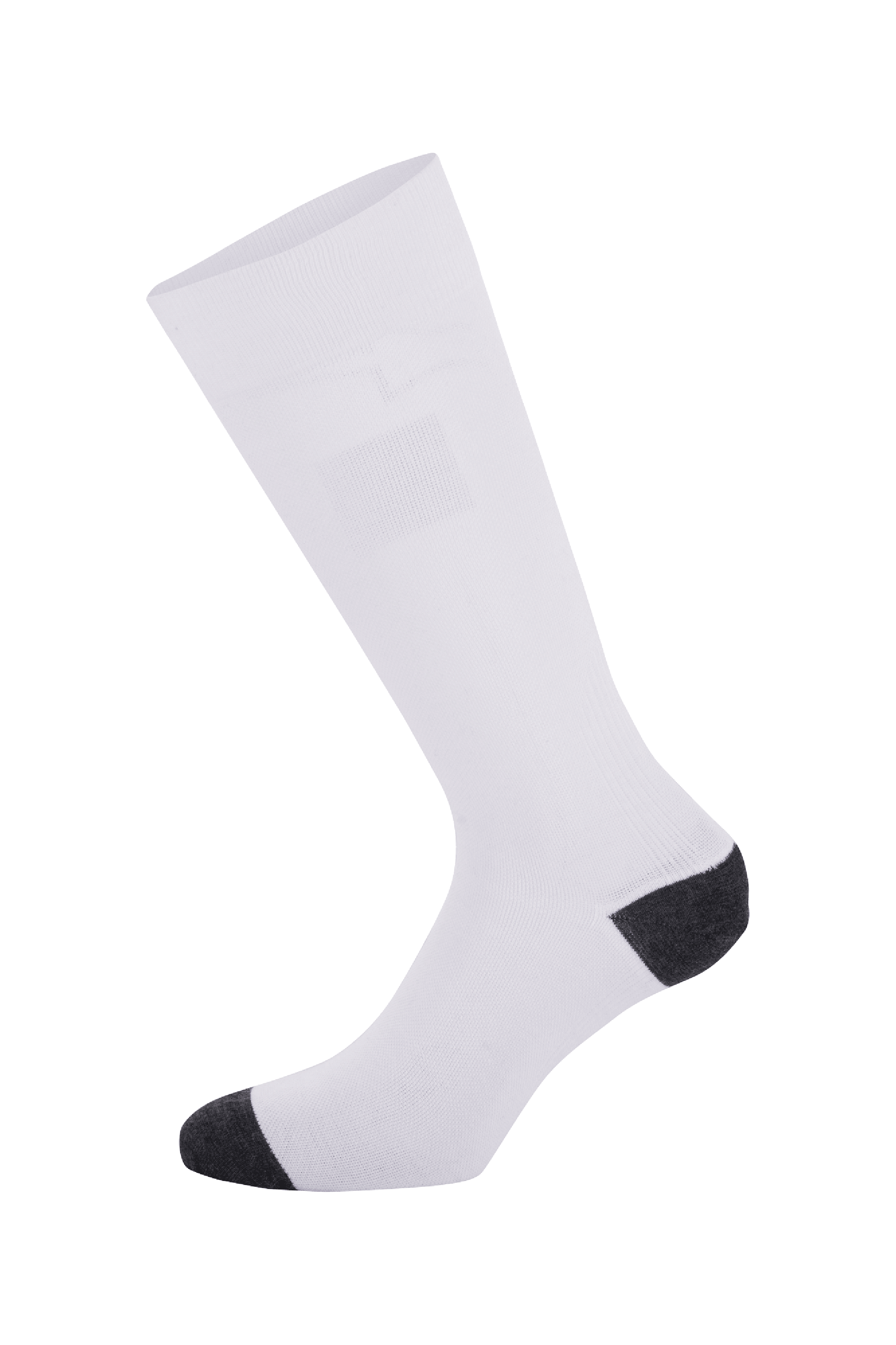 ZX V4 Socks Alpinestars